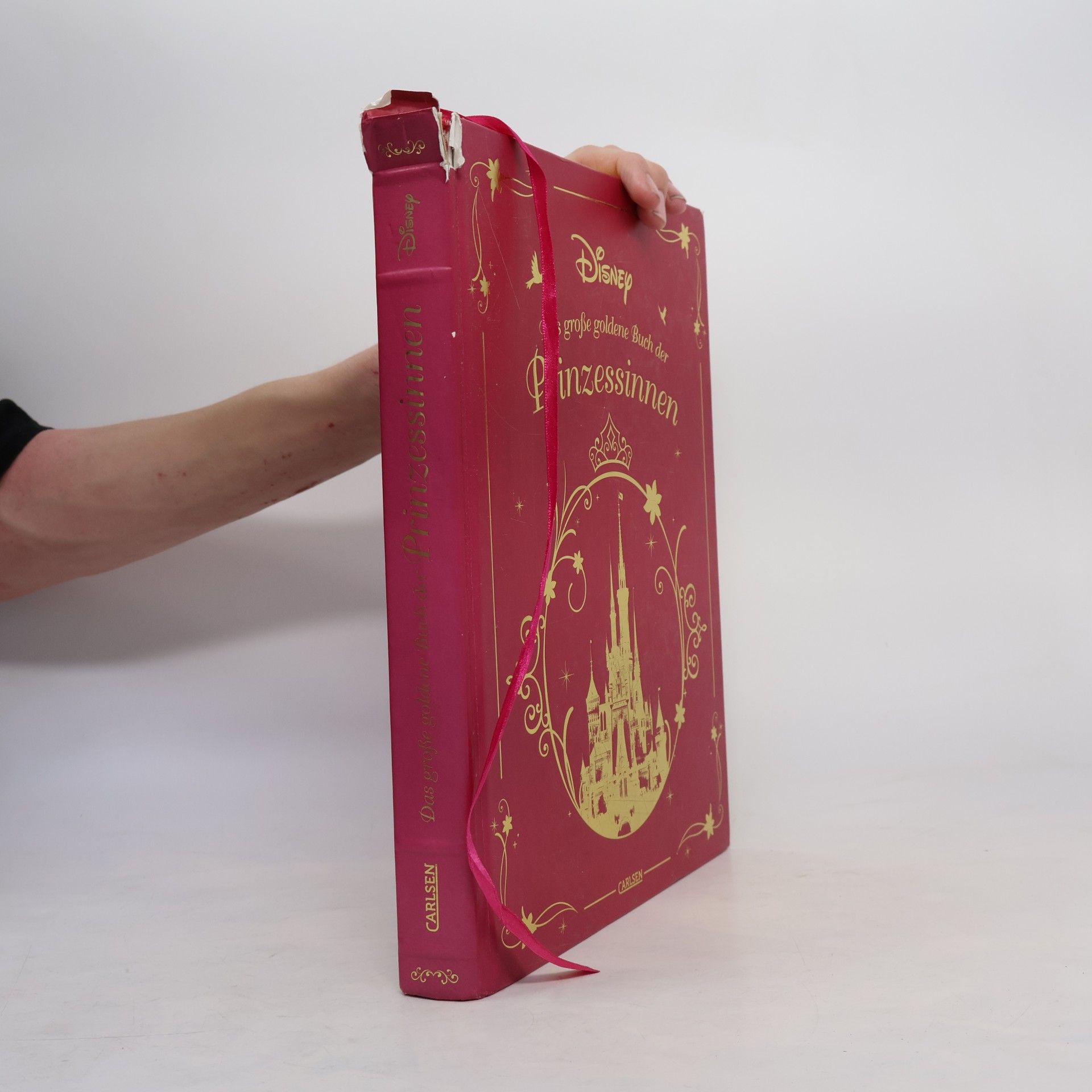 Autorenkollektiv Das große goldene Buch der Prinzessinnen