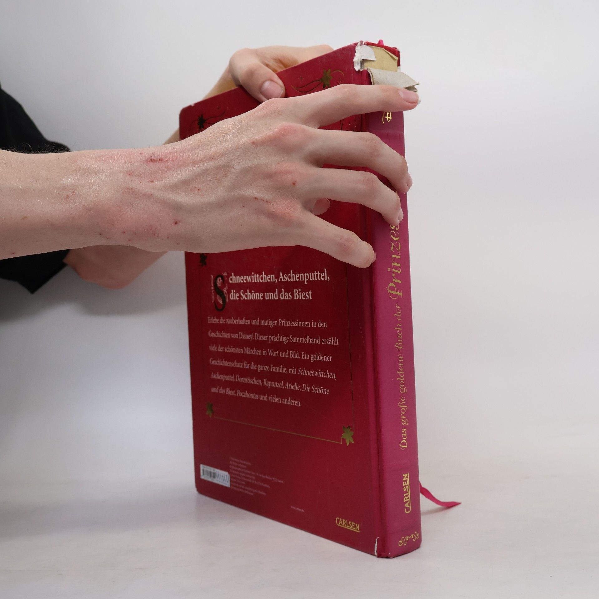 Various authors Das große goldene Buch der Prinzessinnen