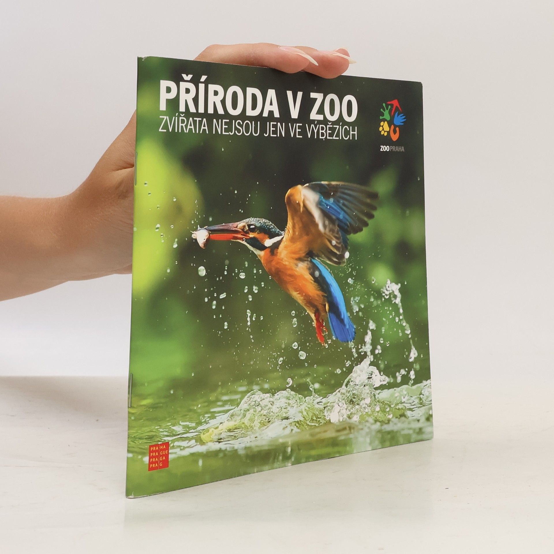 Various authors Příroda v zoo - Zvířata nejsou jen ve výbězích