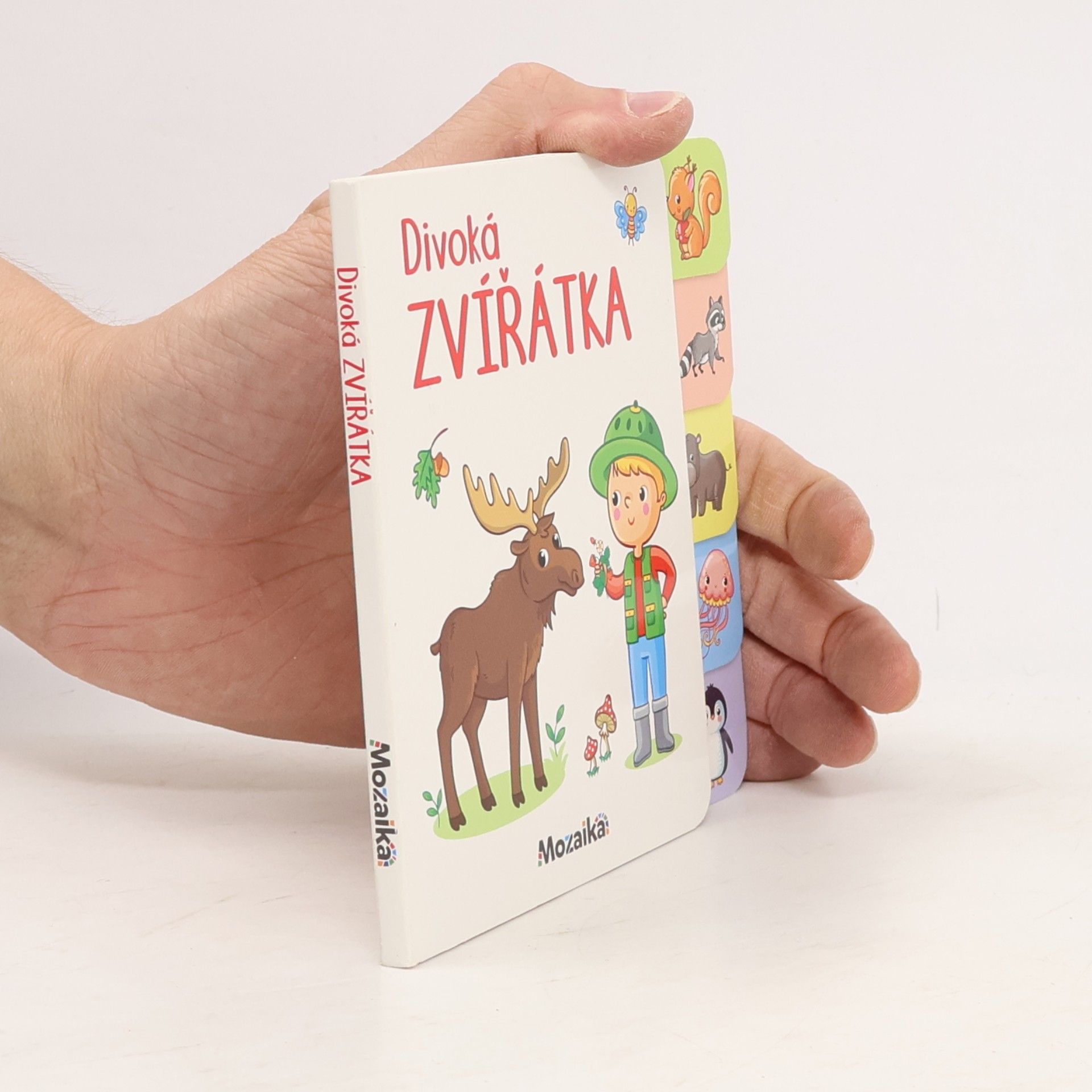 Autorenkollektiv Divoká zvířátka