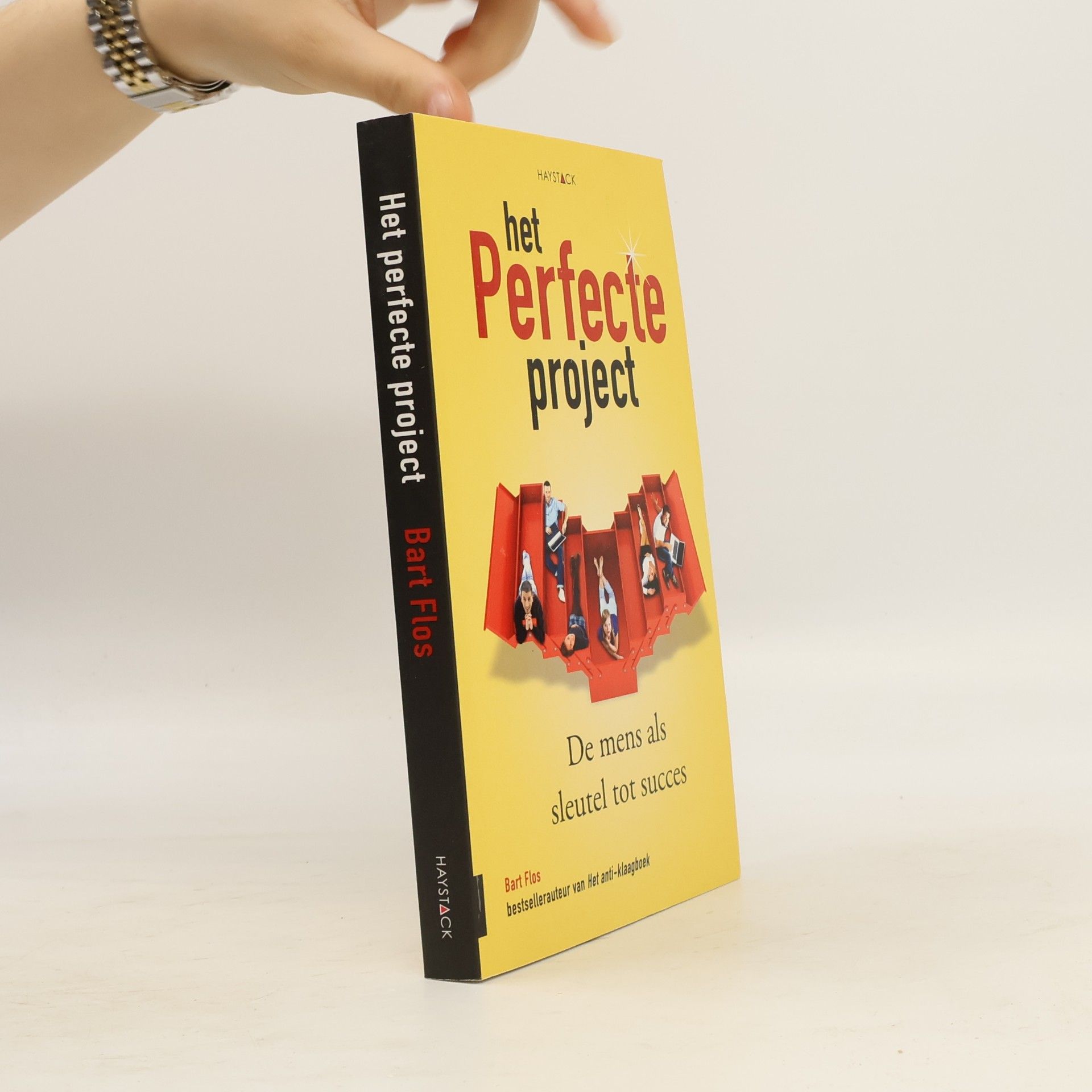 Bart Flos Het perfecte project