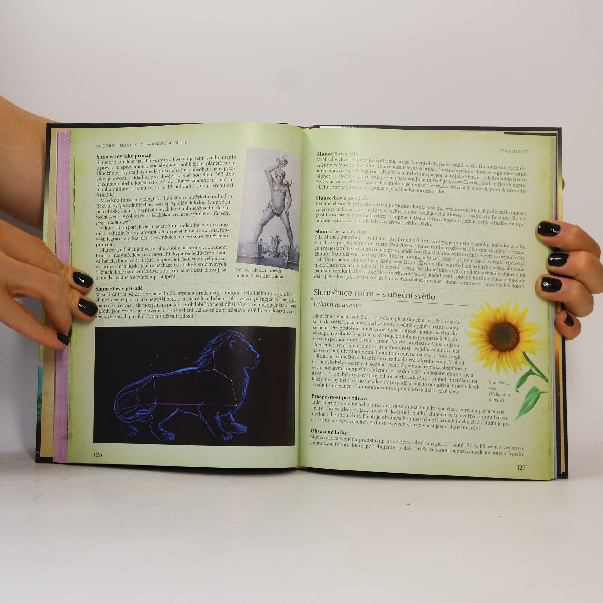 Yvonne H. Koch Astrologie rostlin : léčivá síla rostlin a planet