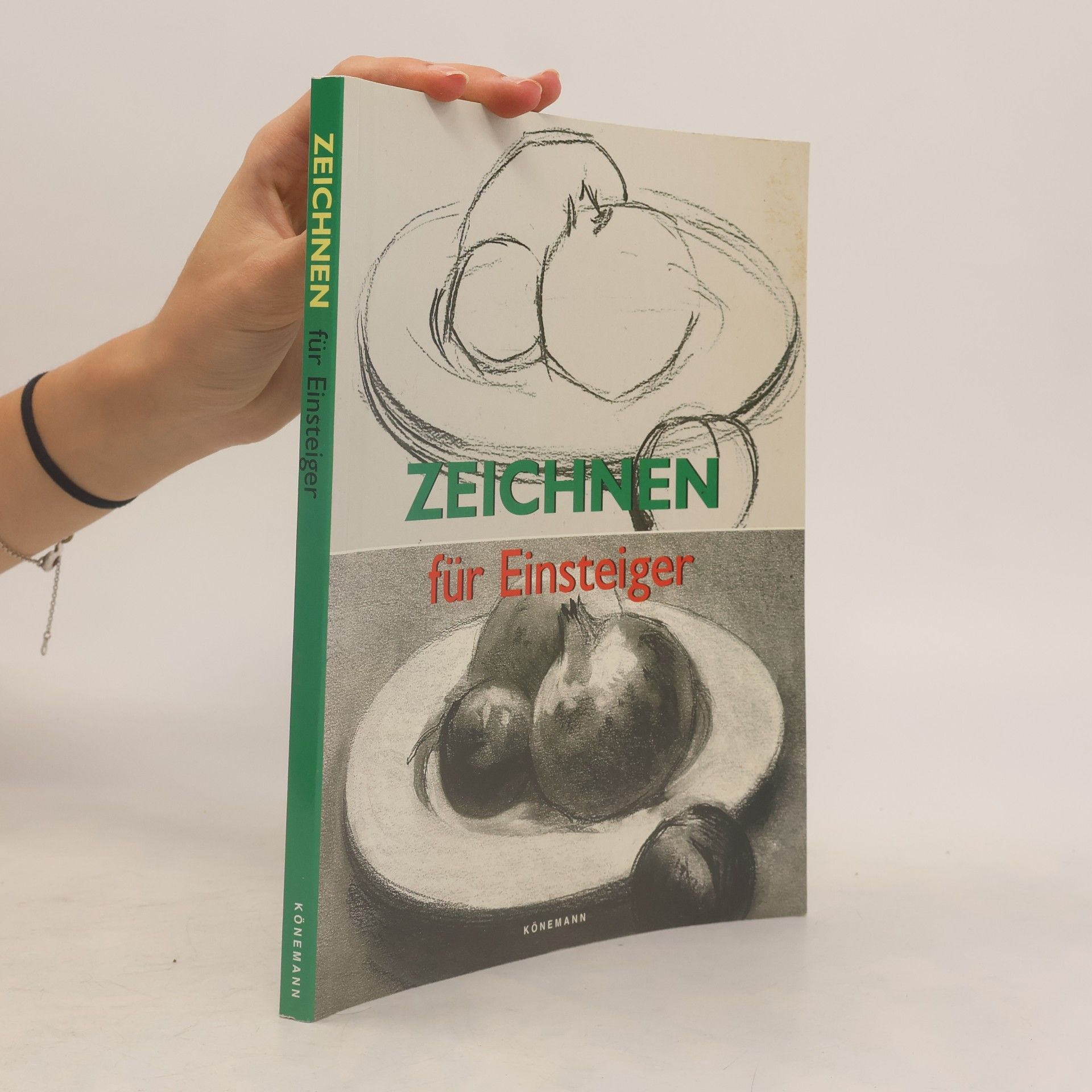 Francisco Asensio Cerver Zeichnen für Einsteiger