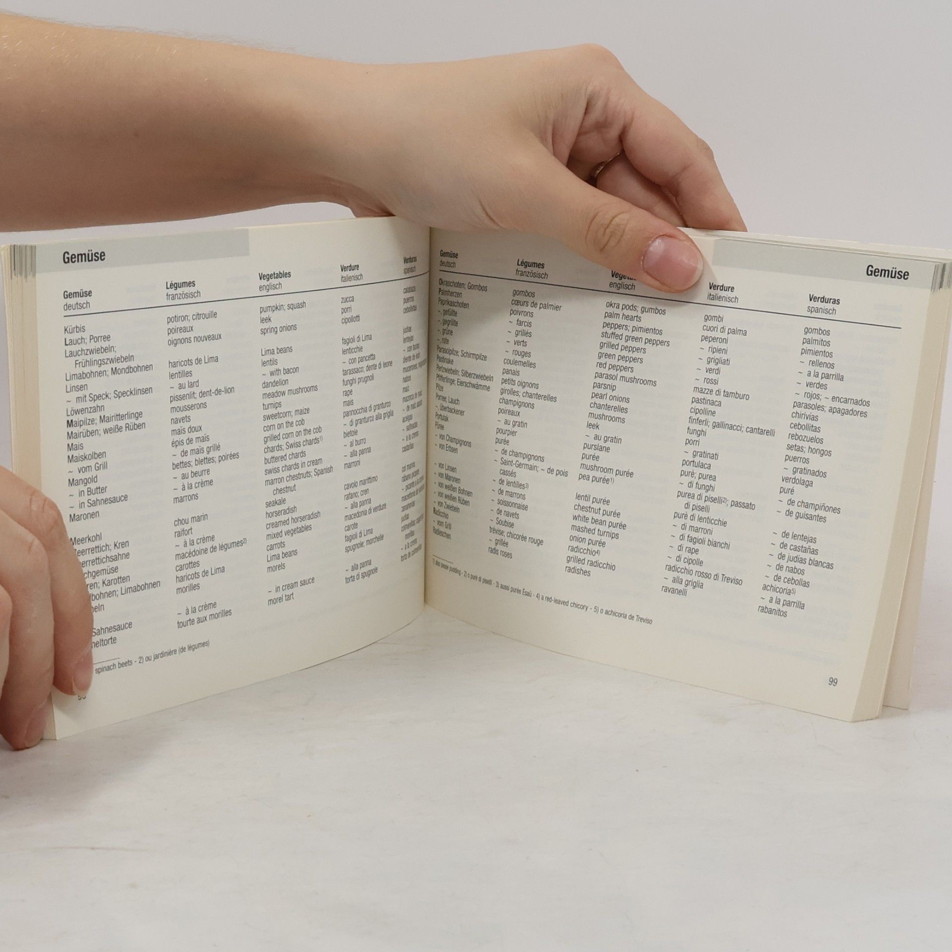 Stefan Schulz Gastronomisches Wörterbuch, Deutsch-Francais-English-Italiano-Espanol