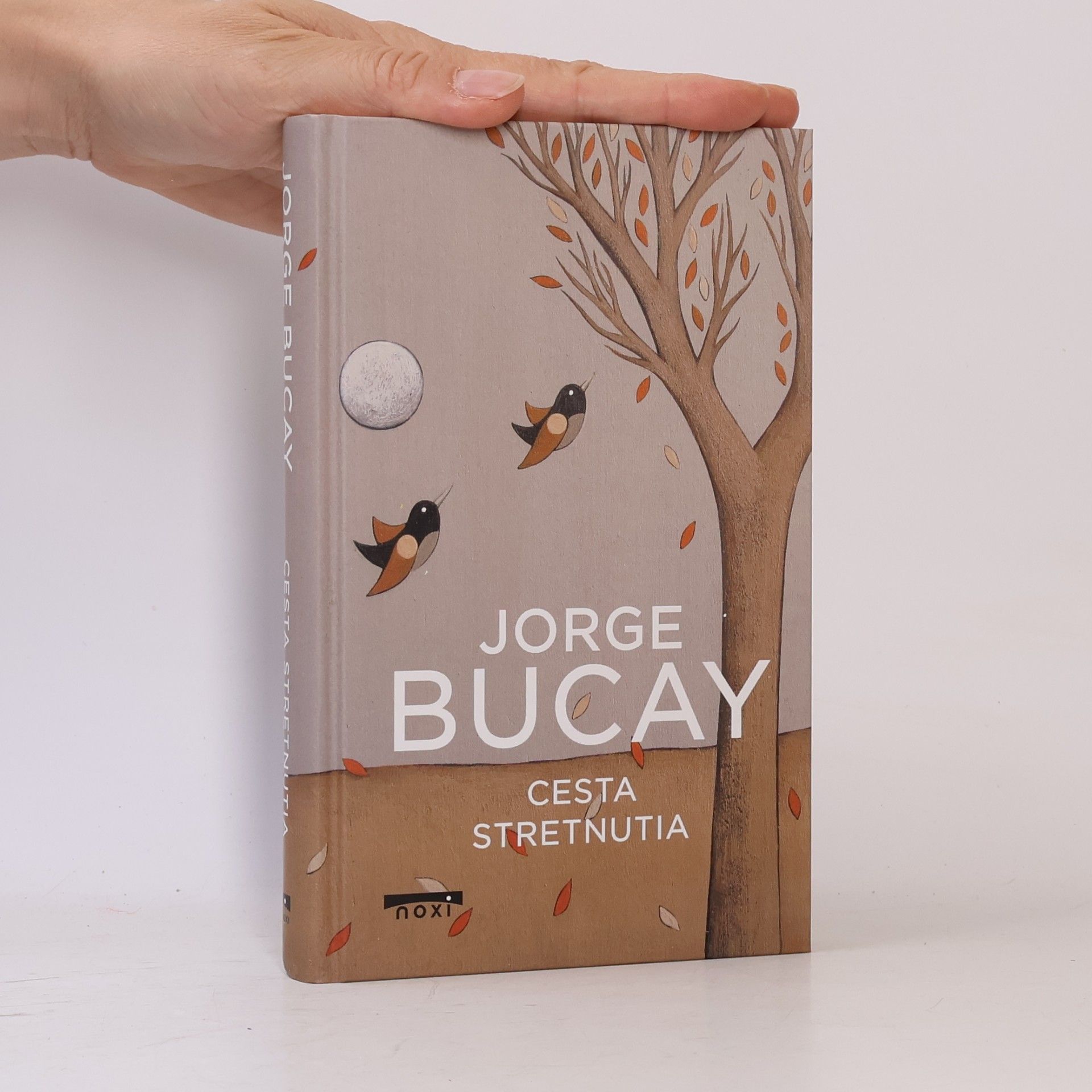 Jorge Bucay Cesta stretnutia