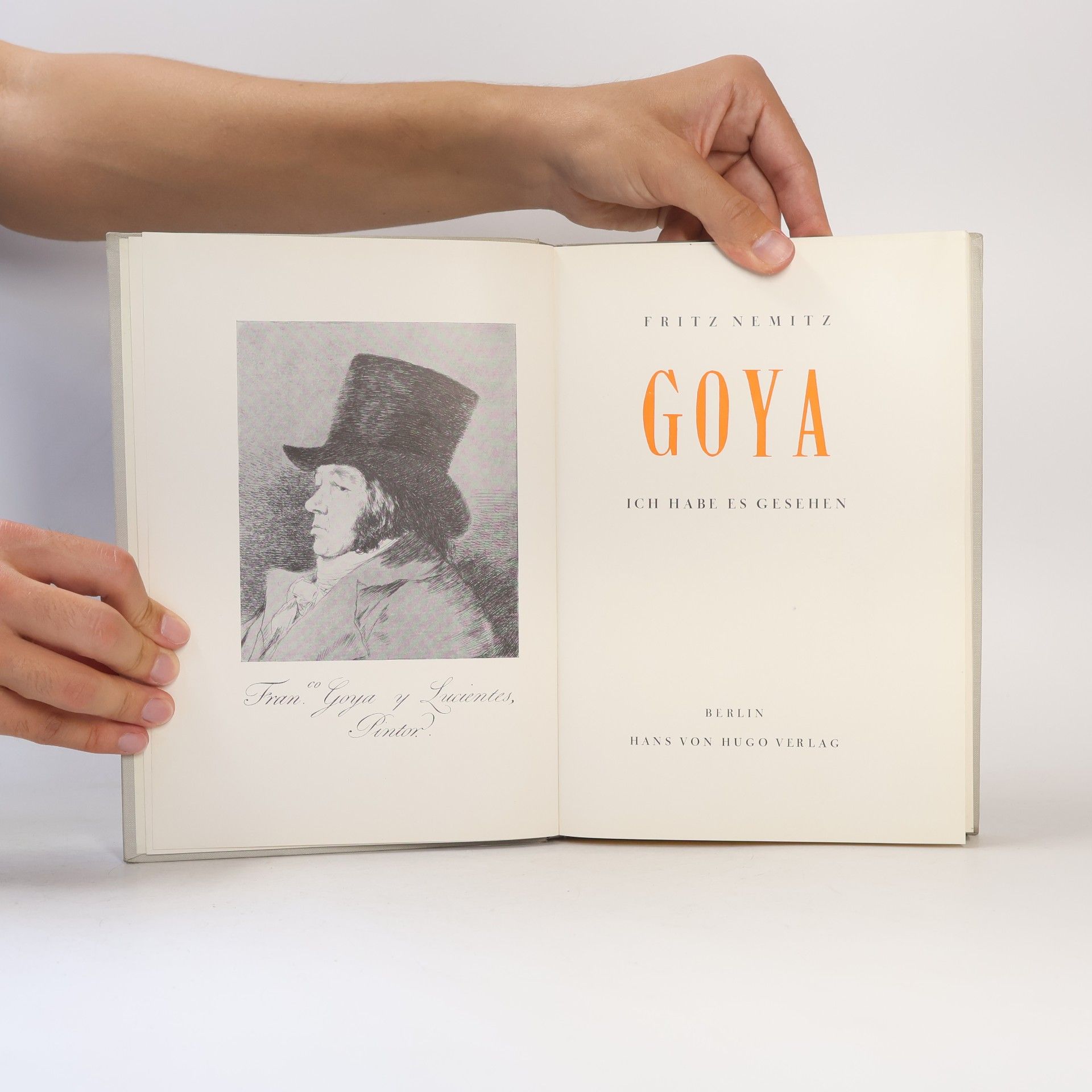 Fritz Nemitz Goya : ich habe es gesehen