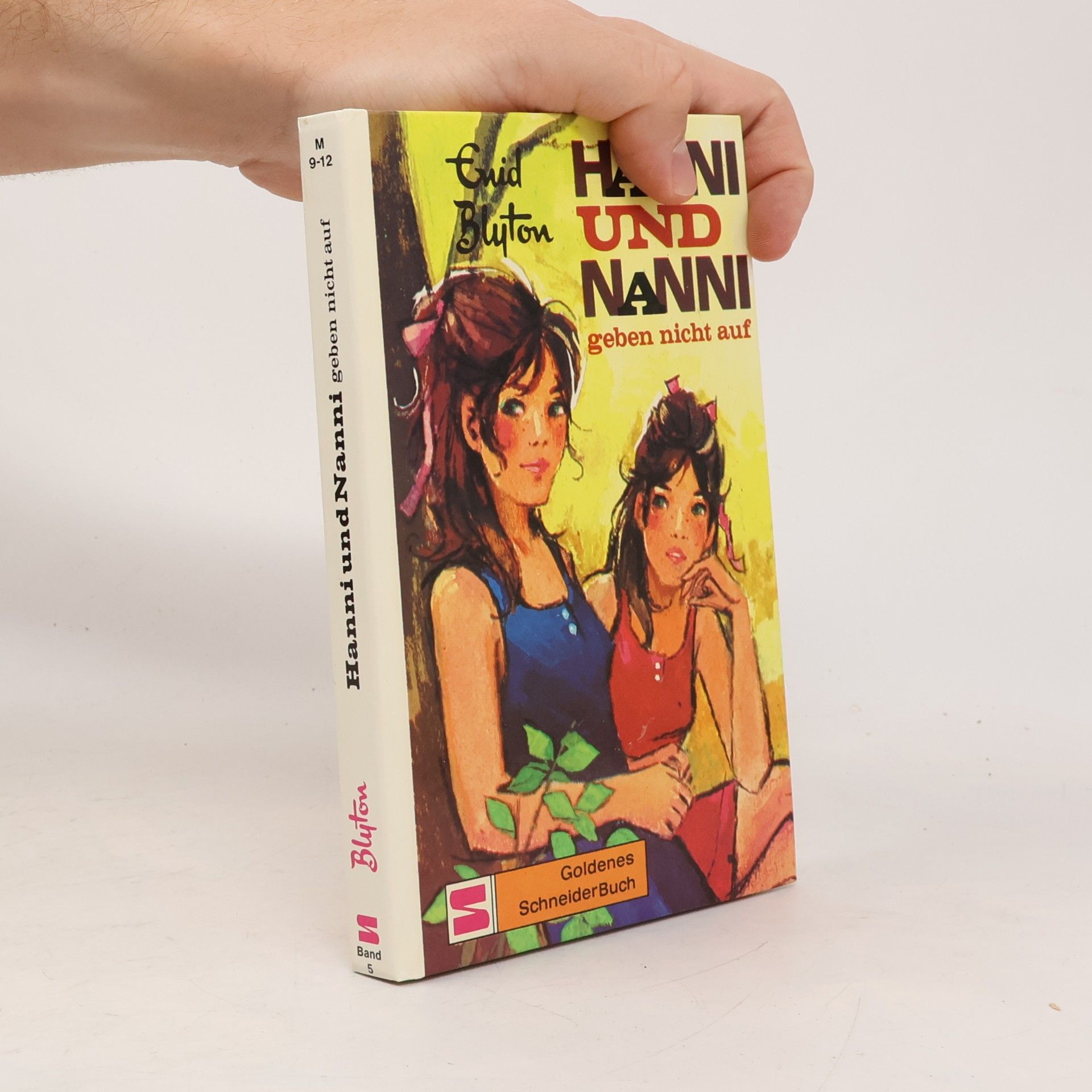 Enid Blyton Hanni und Nanni. Geben nicht auf