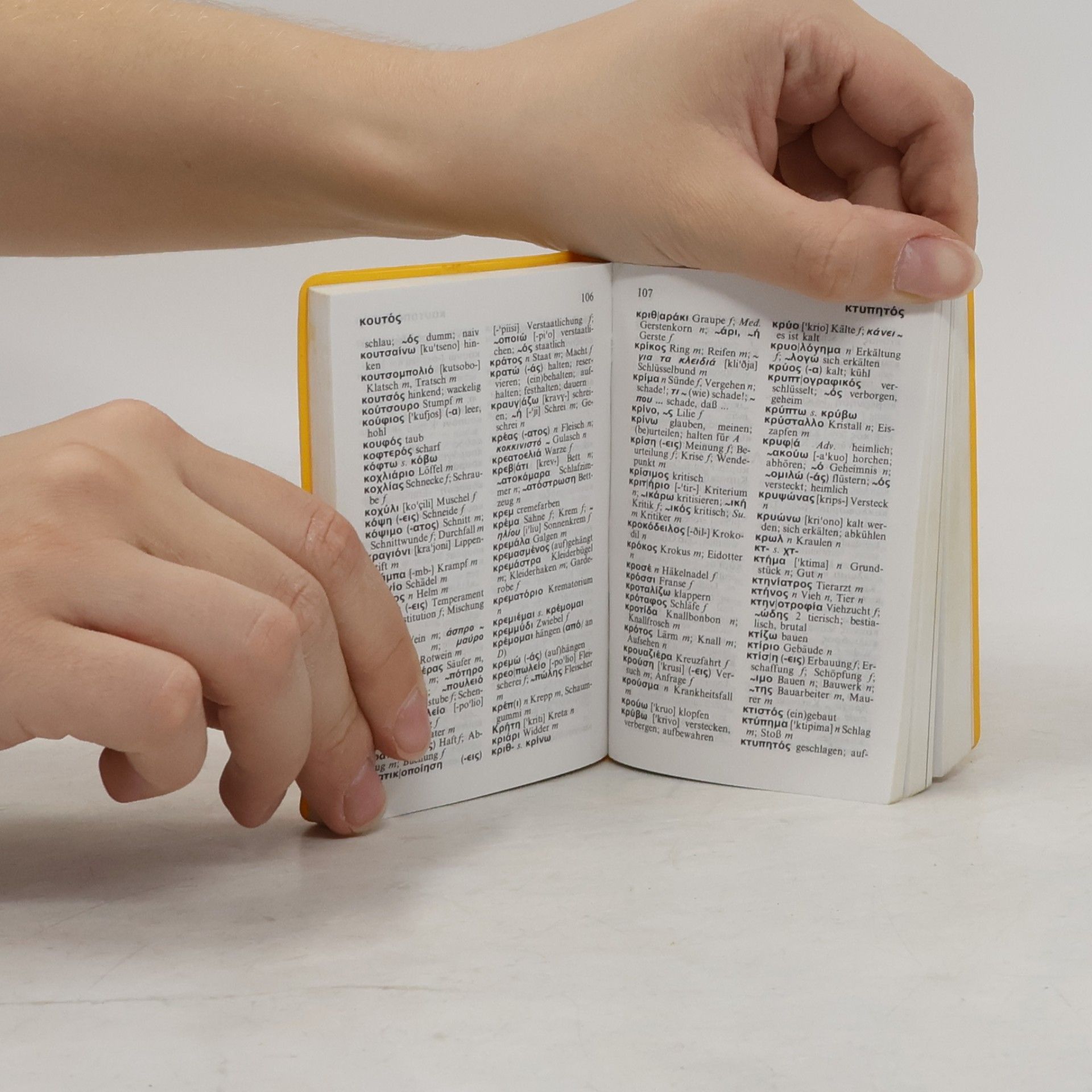 Autorenkollektiv Langenscheidts Universal-Wörterbuch Neugriechisch