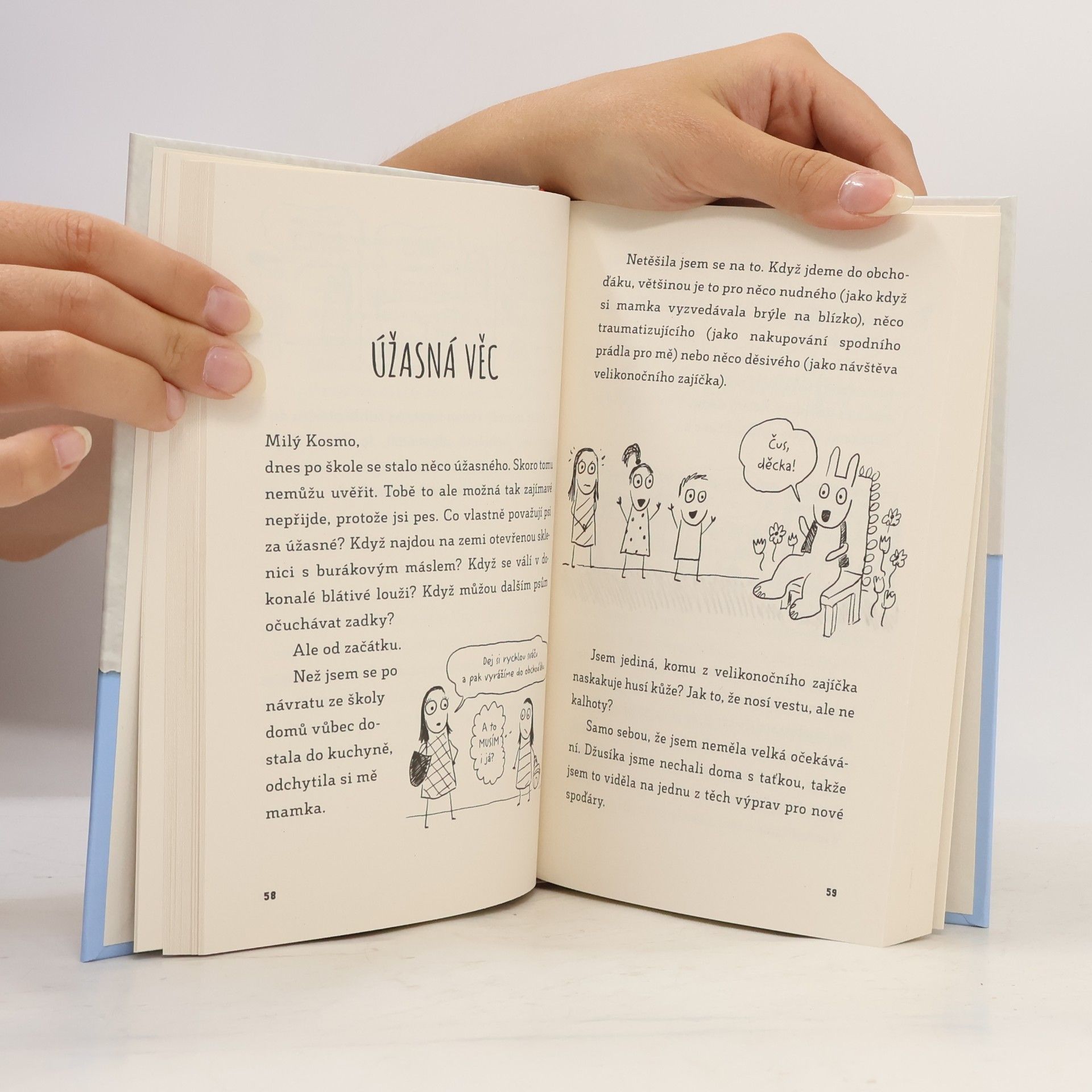 Sara Shepard Deník jedné páťačky
