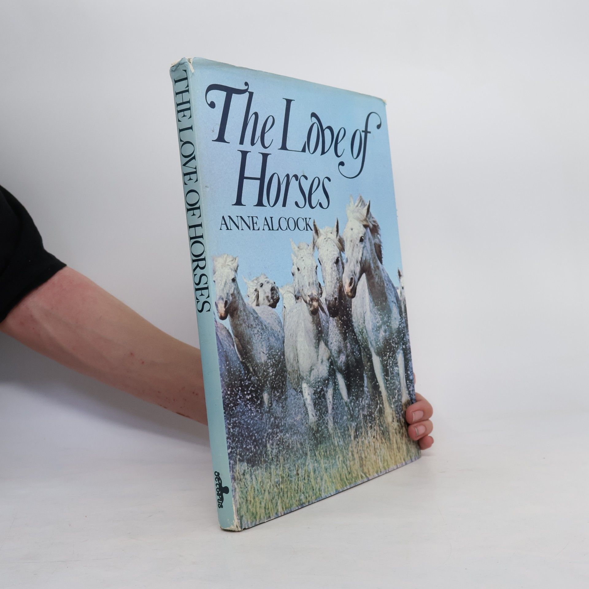 Anne Alcock The Love of Horses