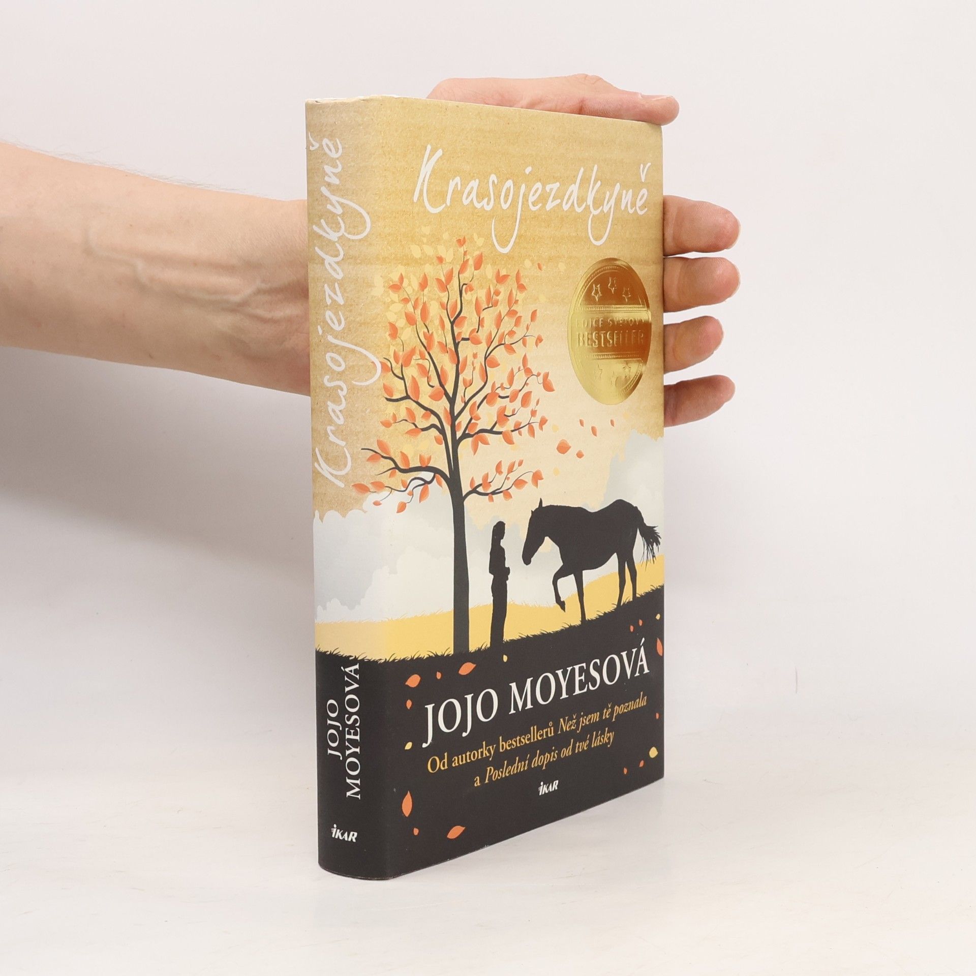 Jojo Moyes Krasojezdkyně