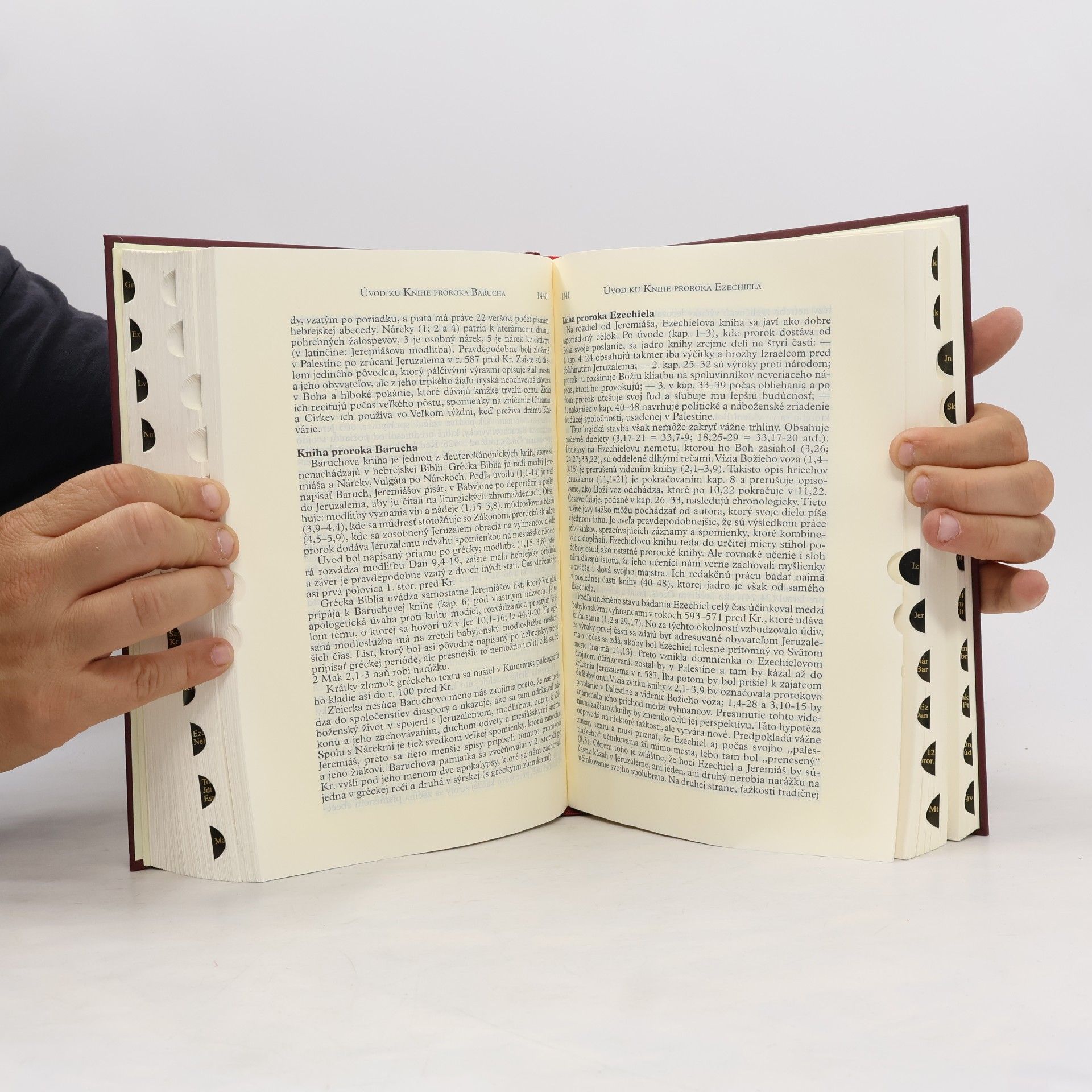Autores varios Sväté písmo – Jeruzalemská Biblia