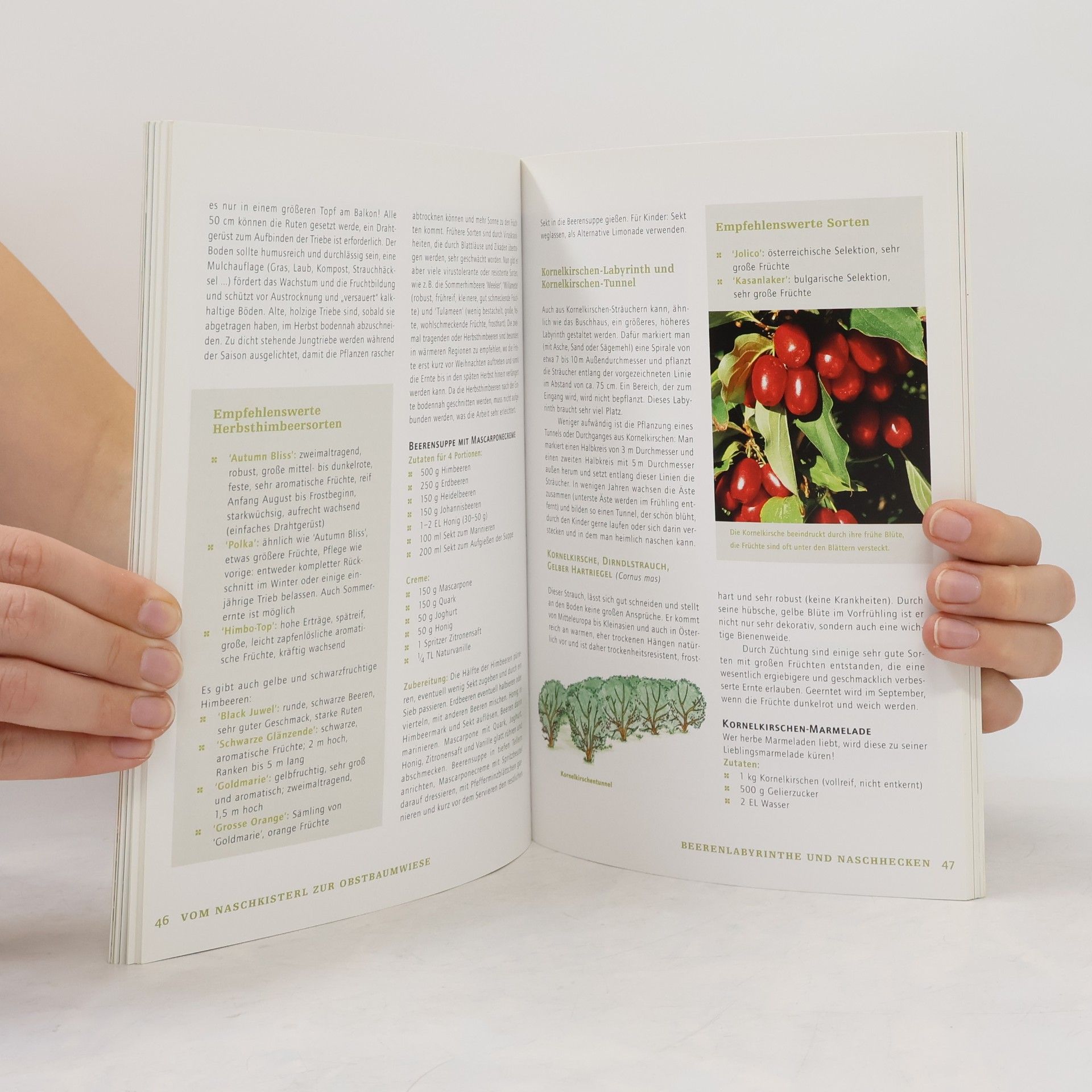 Ilse Wrbka-Fuchsig Beeren und Obst aus dem naturnahen Garten
