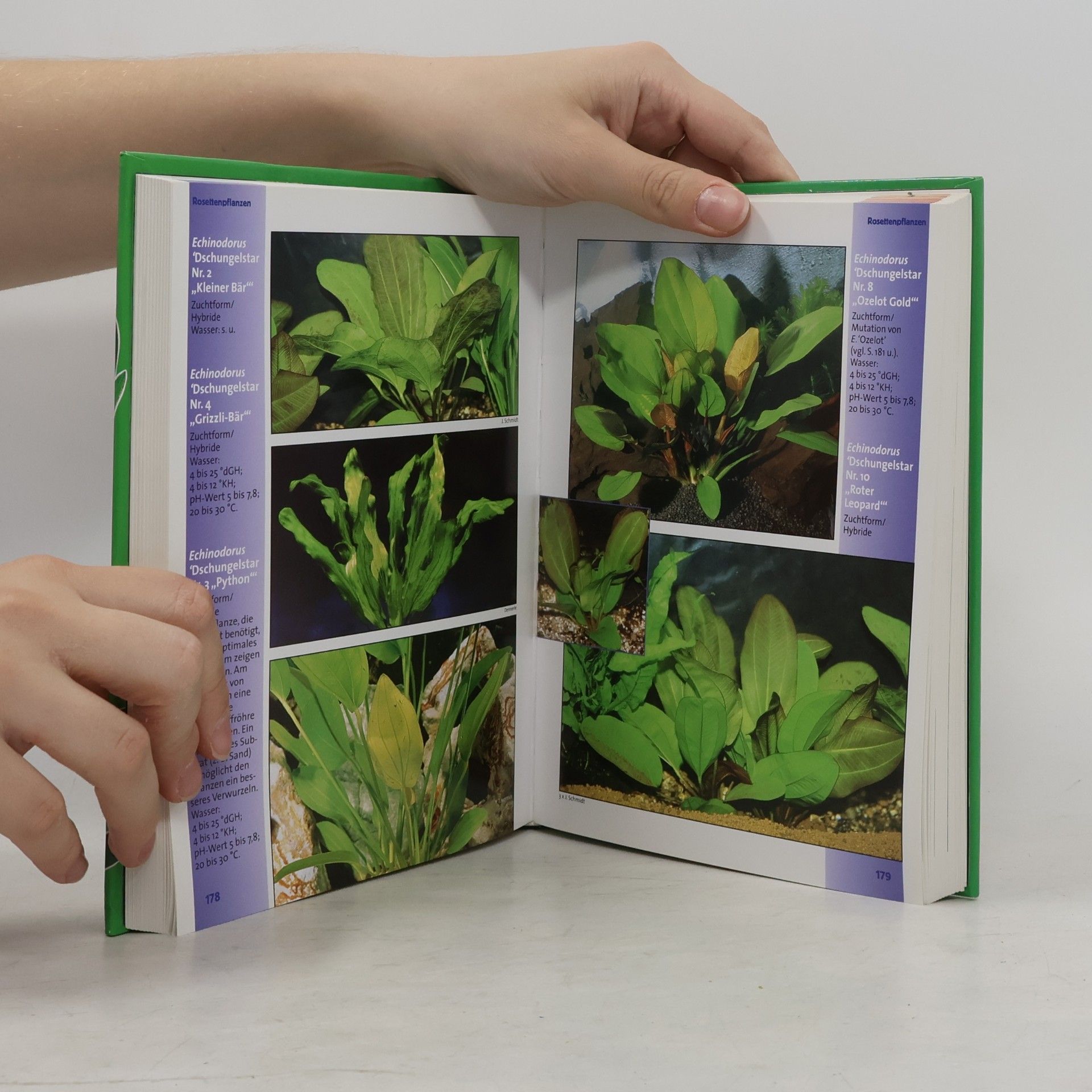 Jürgen Schmidt-Radefeldt MiniAtlas Aquarienpflanzen