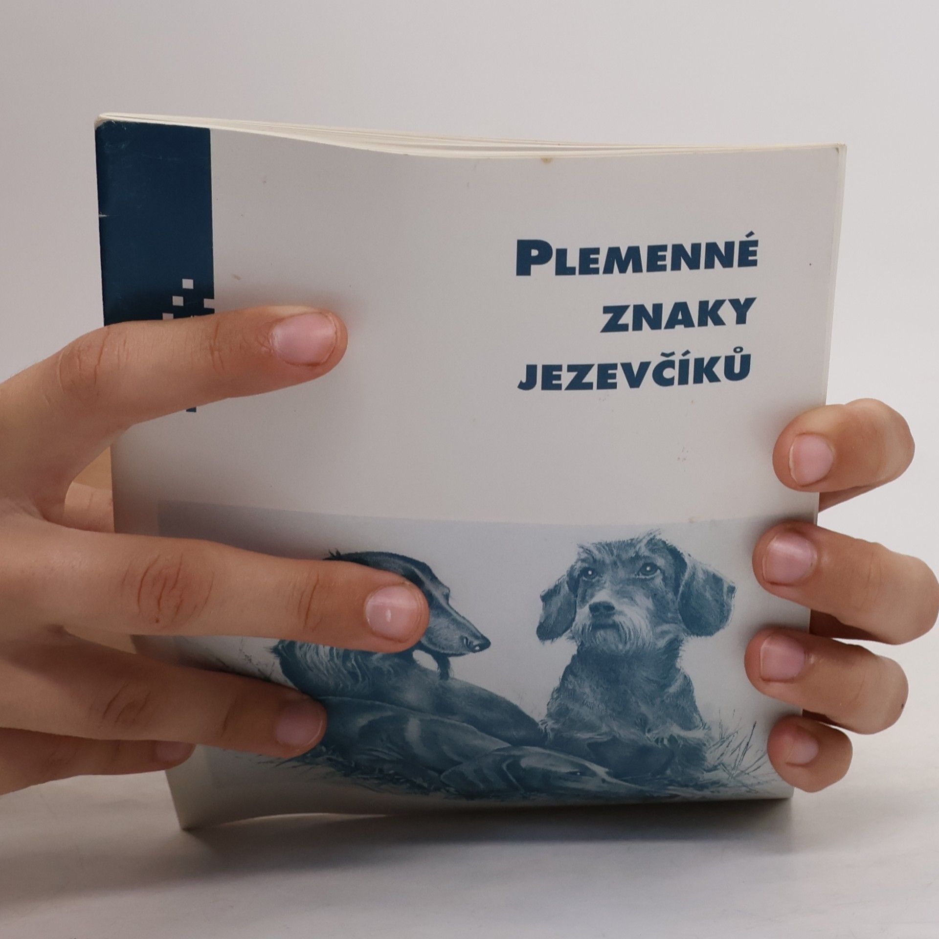 kolektiv Plemenné znaky jezevčíků