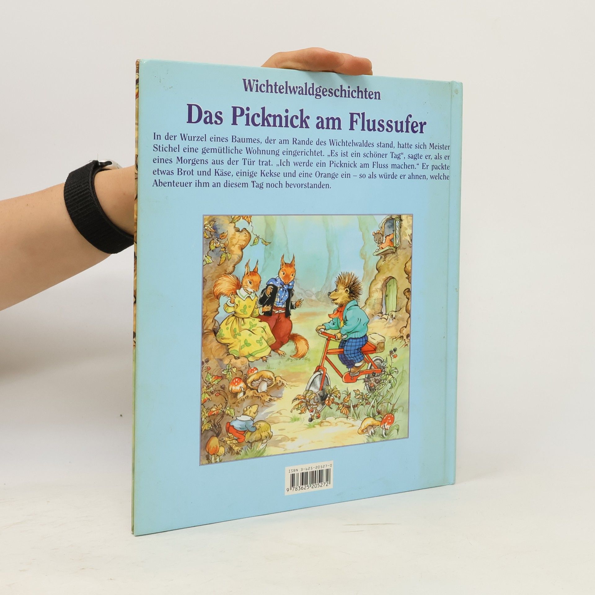 Rene Cloke Das Picknick am Flussufer