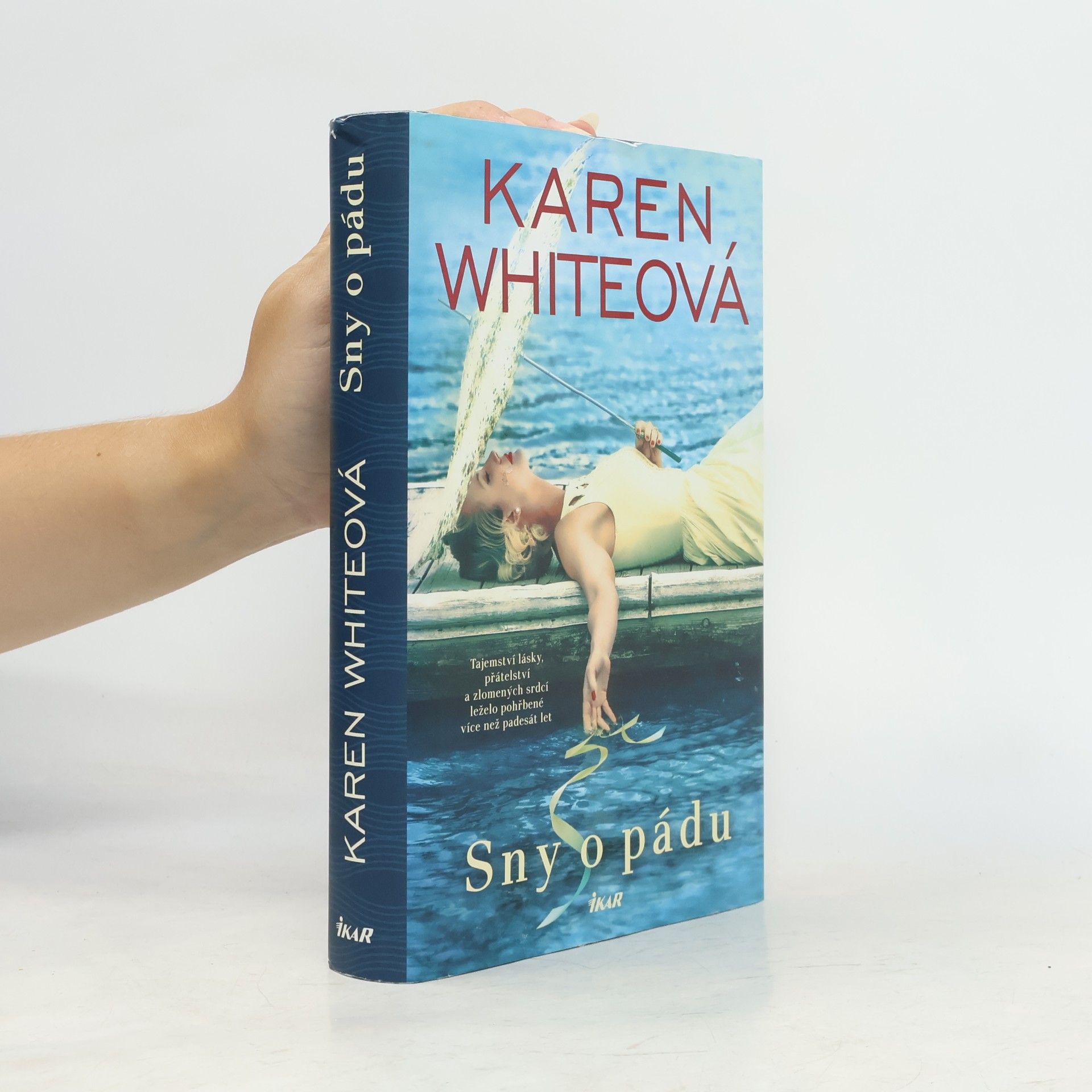 Karen Karen S. White Sny o pádu