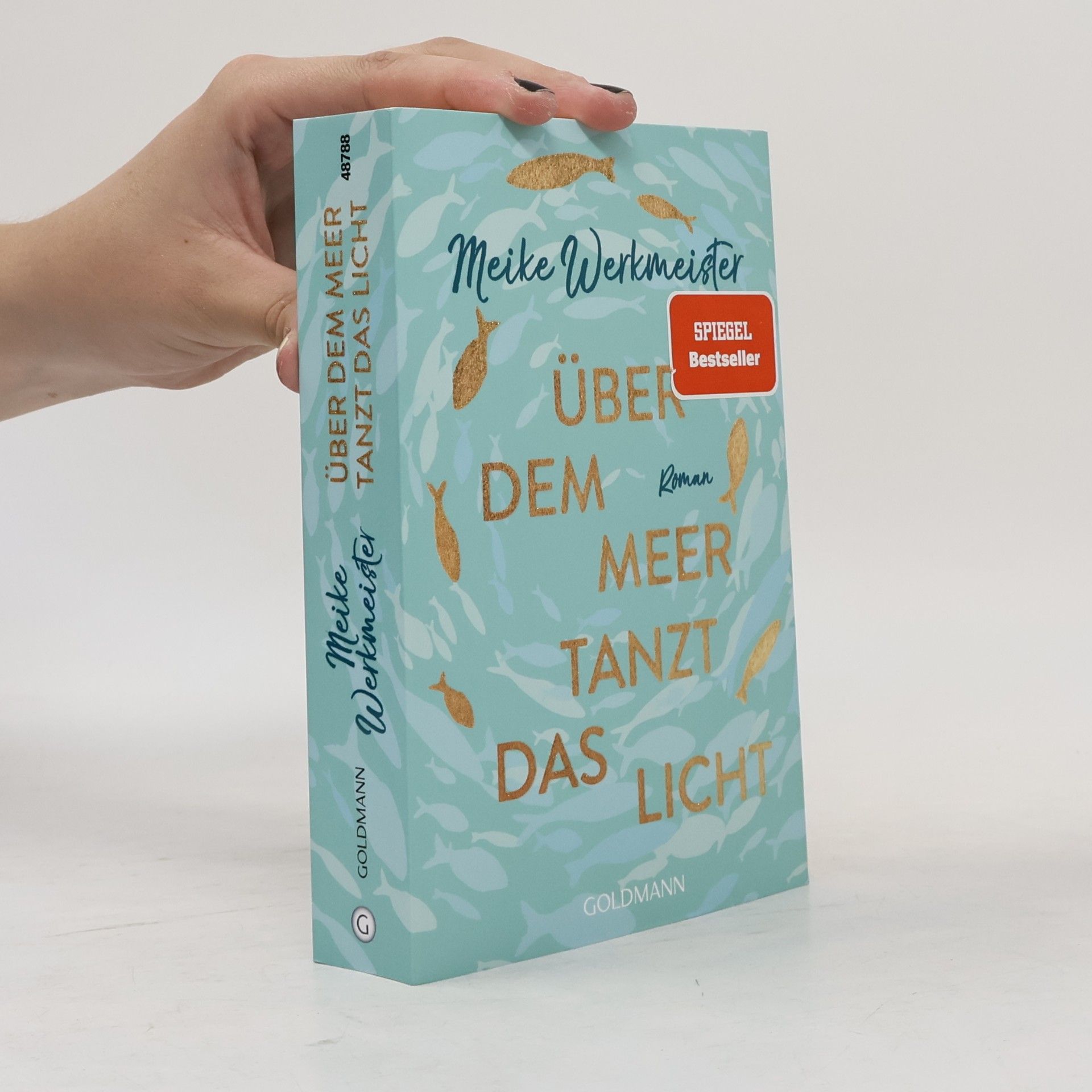 Meike Werkmeister Über dem Meer tanzt das Licht