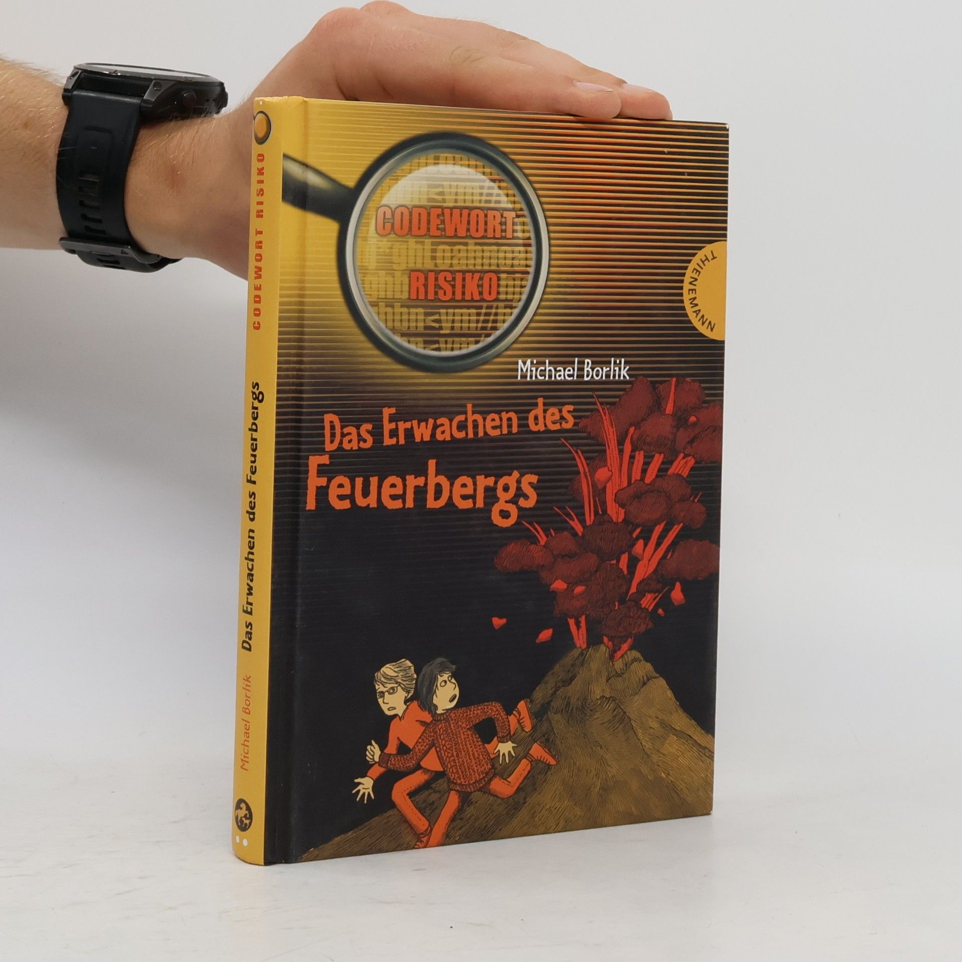 Michael Borlik Das Erwachen des Feuerbergs