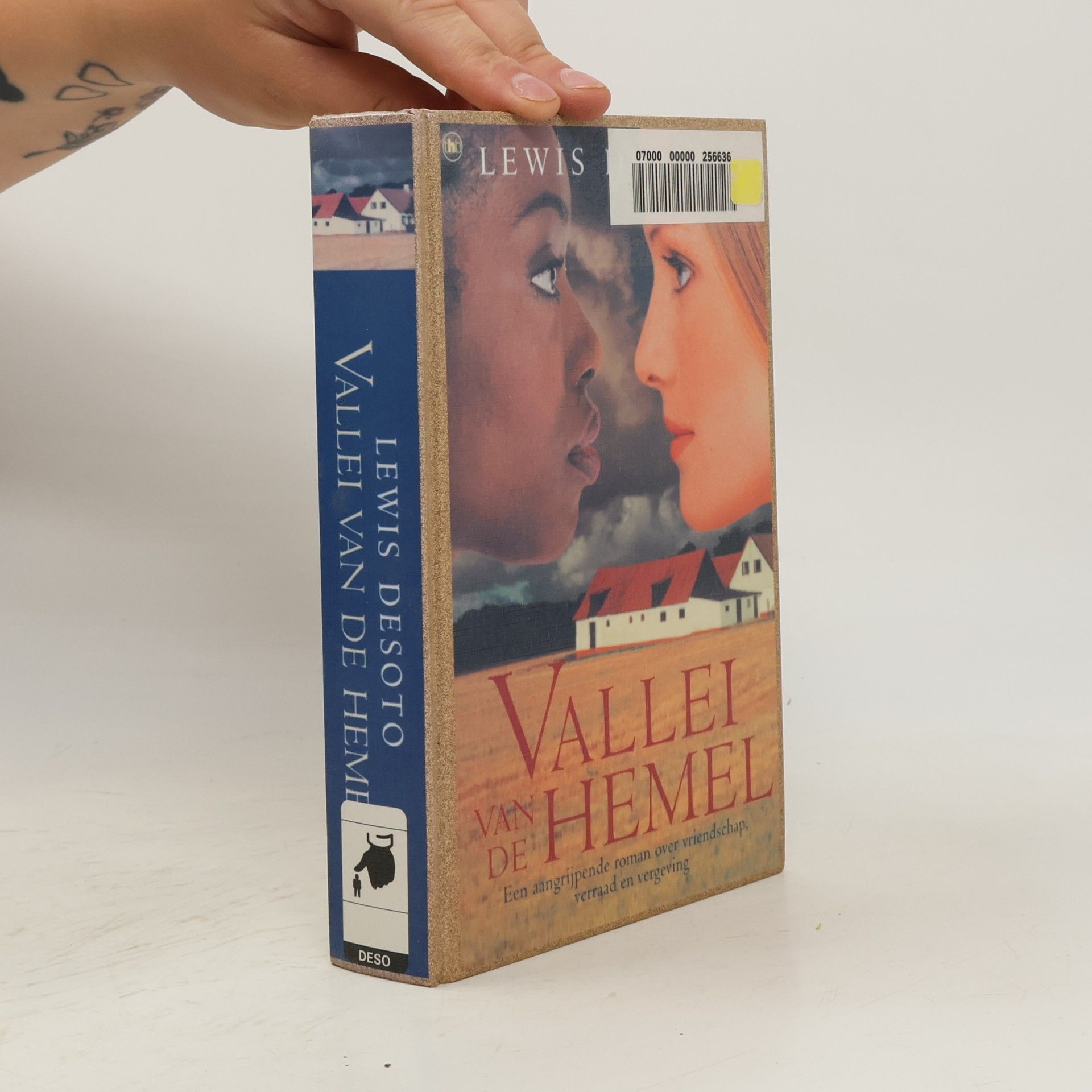 Lewis DeSoto Vallei van de hemel