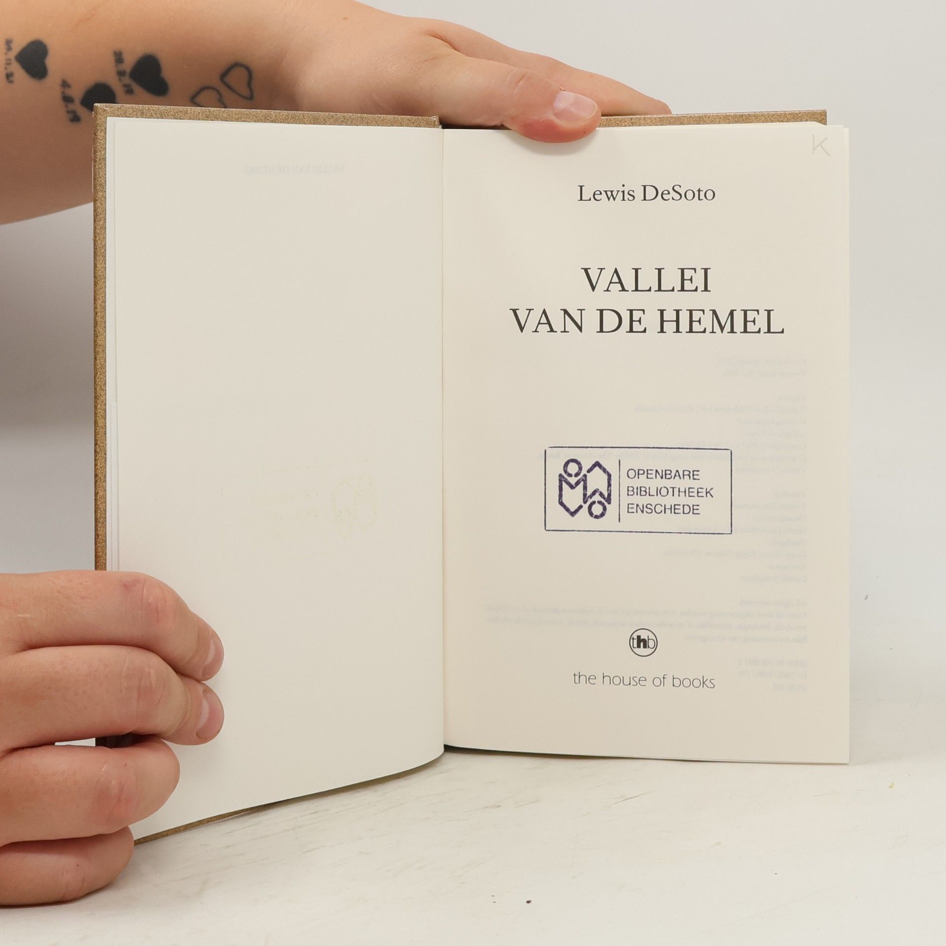 Lewis DeSoto Vallei van de hemel