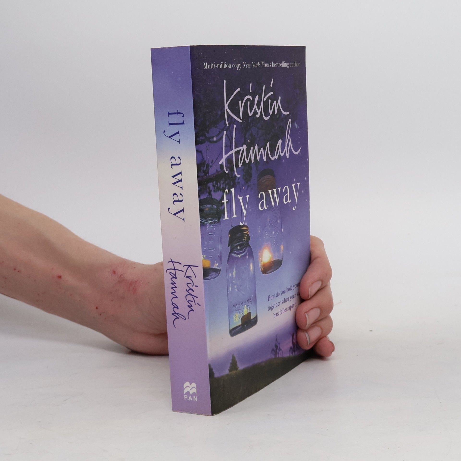 Kristin Hannah Fly Away