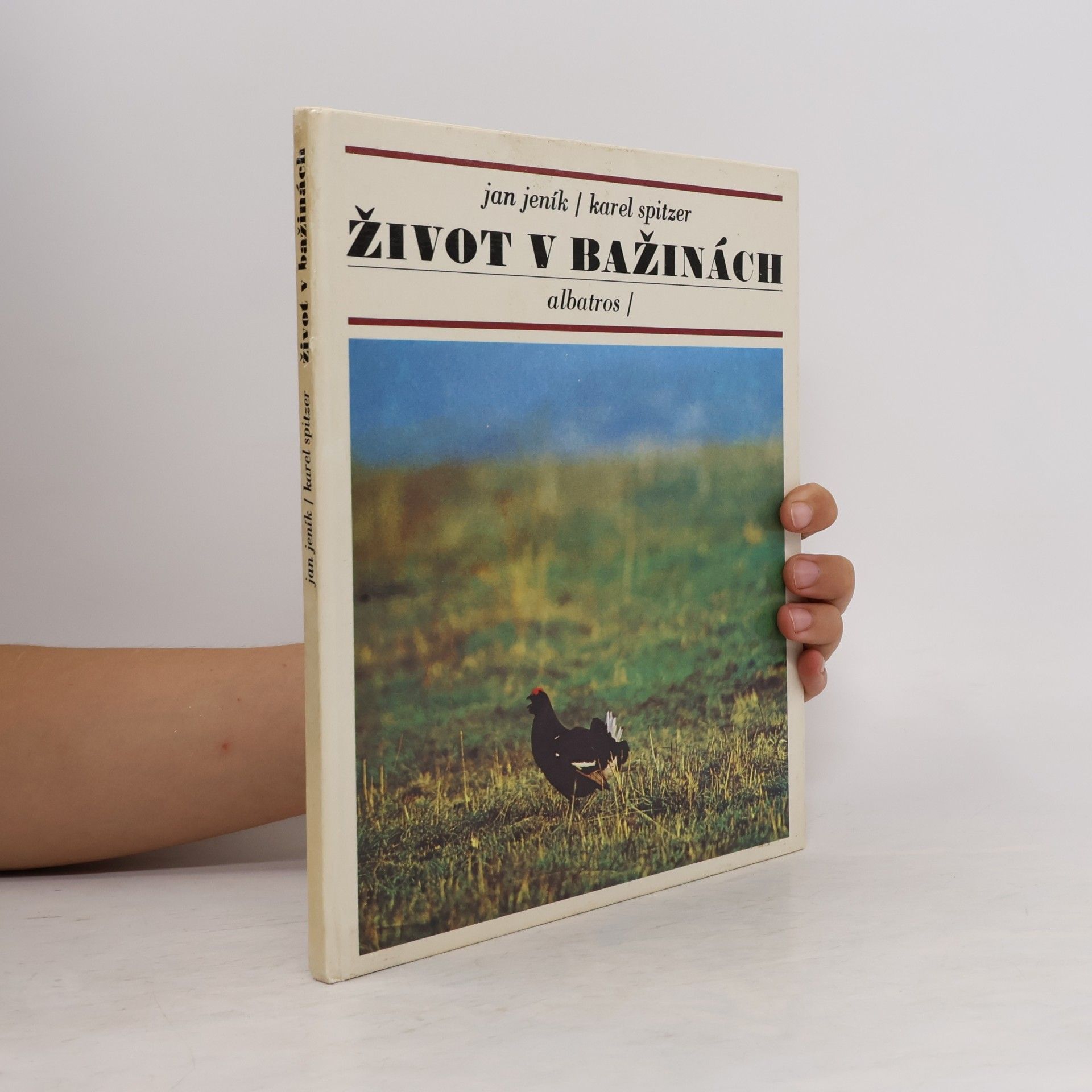 Život v bažinách