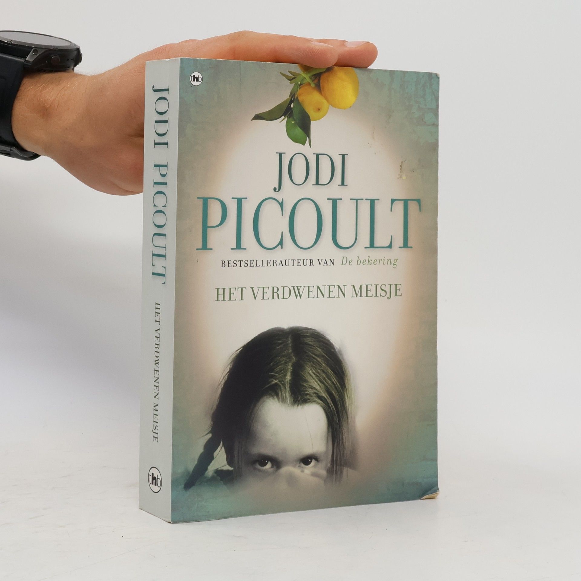 Jodi Picoult Het verdwenen meisje