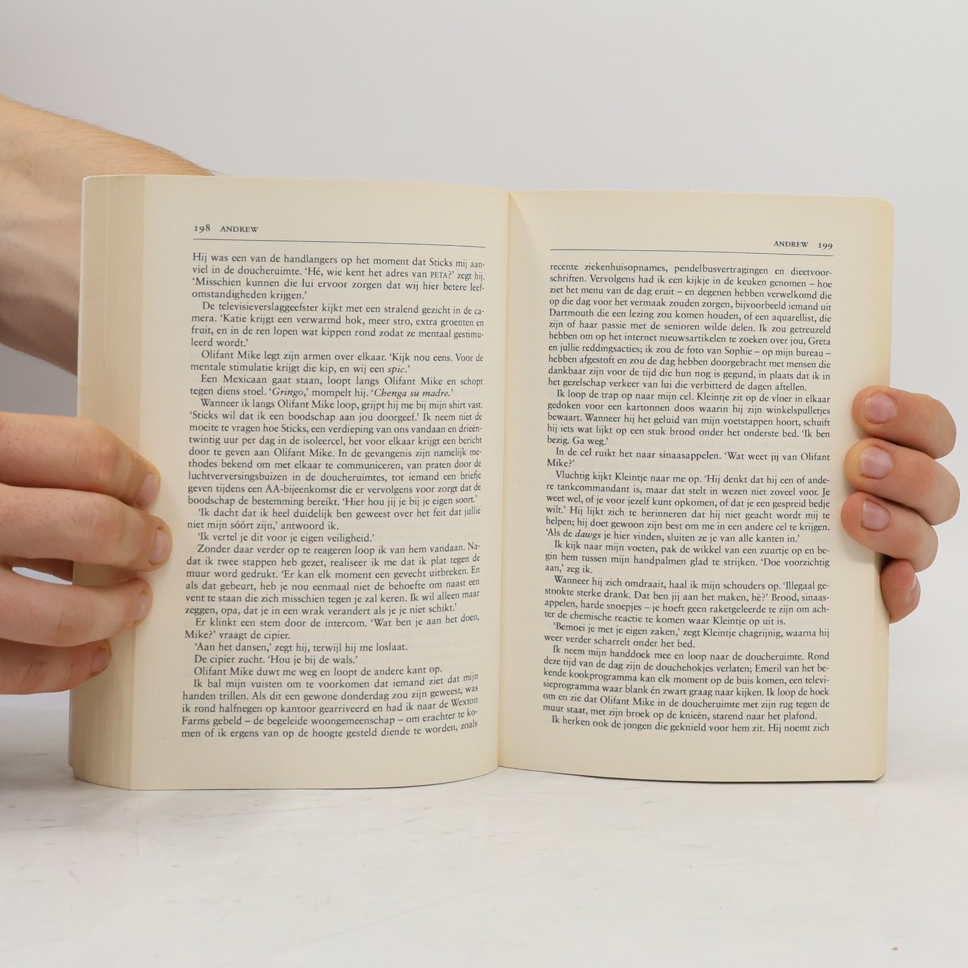 Jodi Picoult Het verdwenen meisje