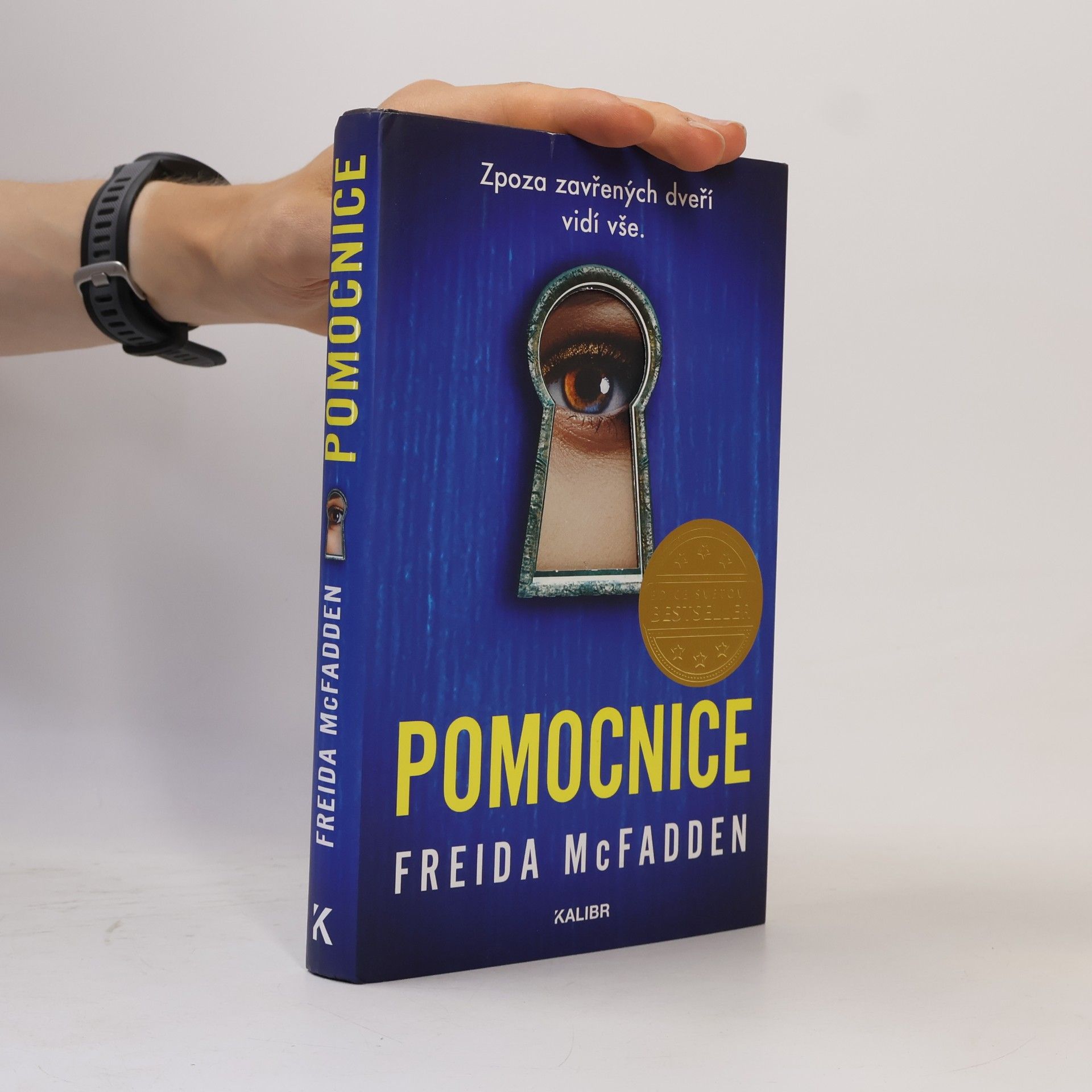 Freida McFaddenová Pomocnice