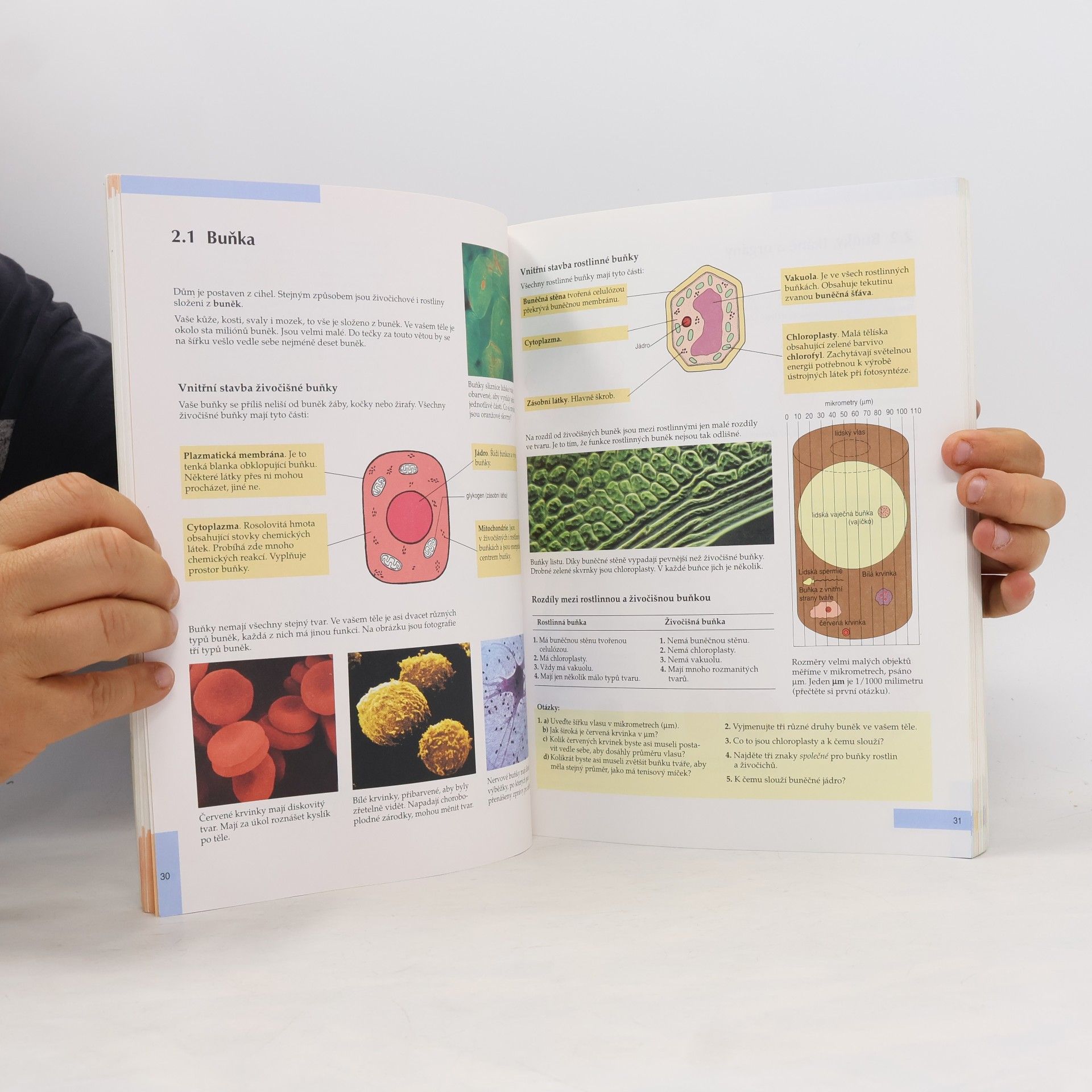 Brian Beckett Přehled učiva biologie
