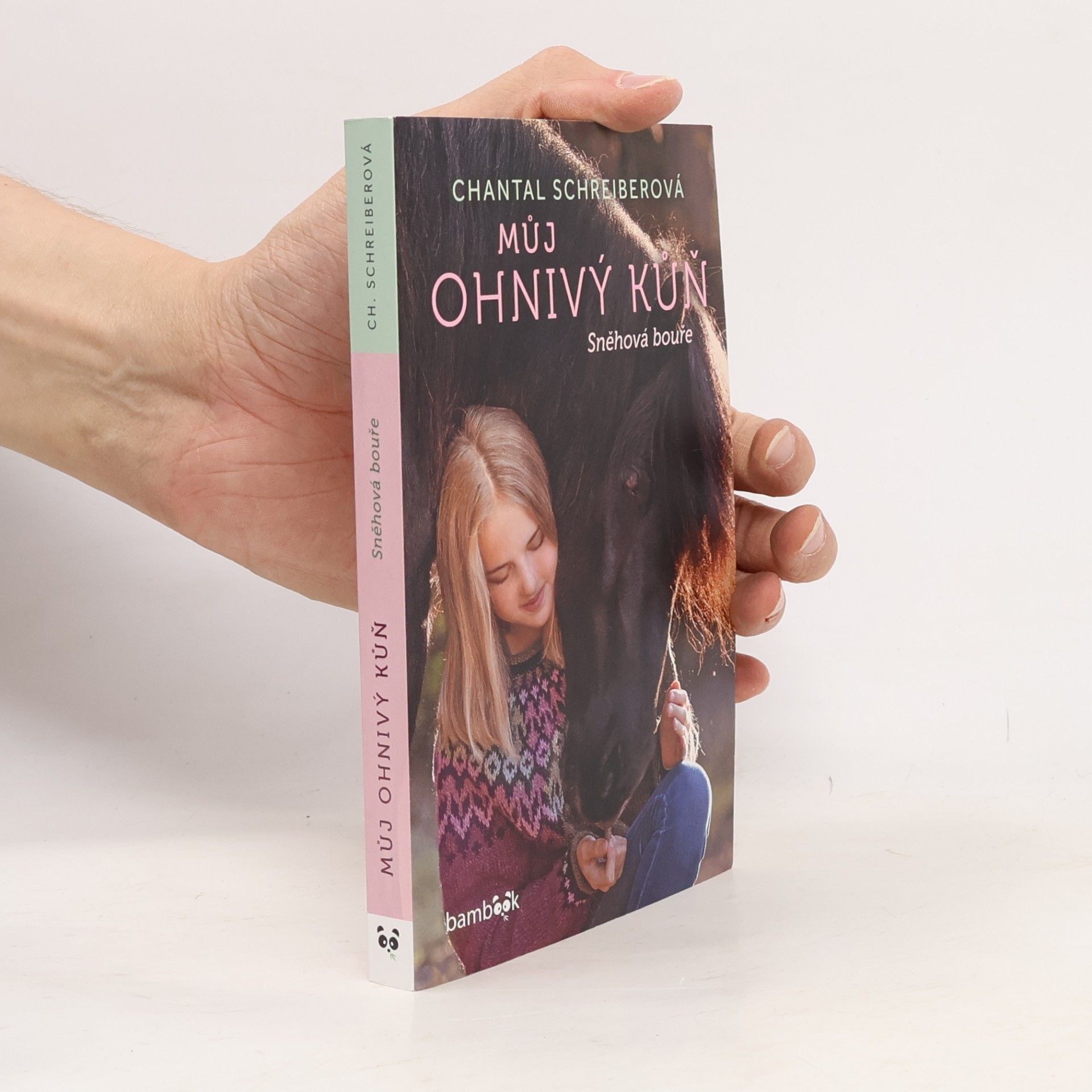 Chantal Schreiber Můj ohnivý kůň. Sněhová bouře