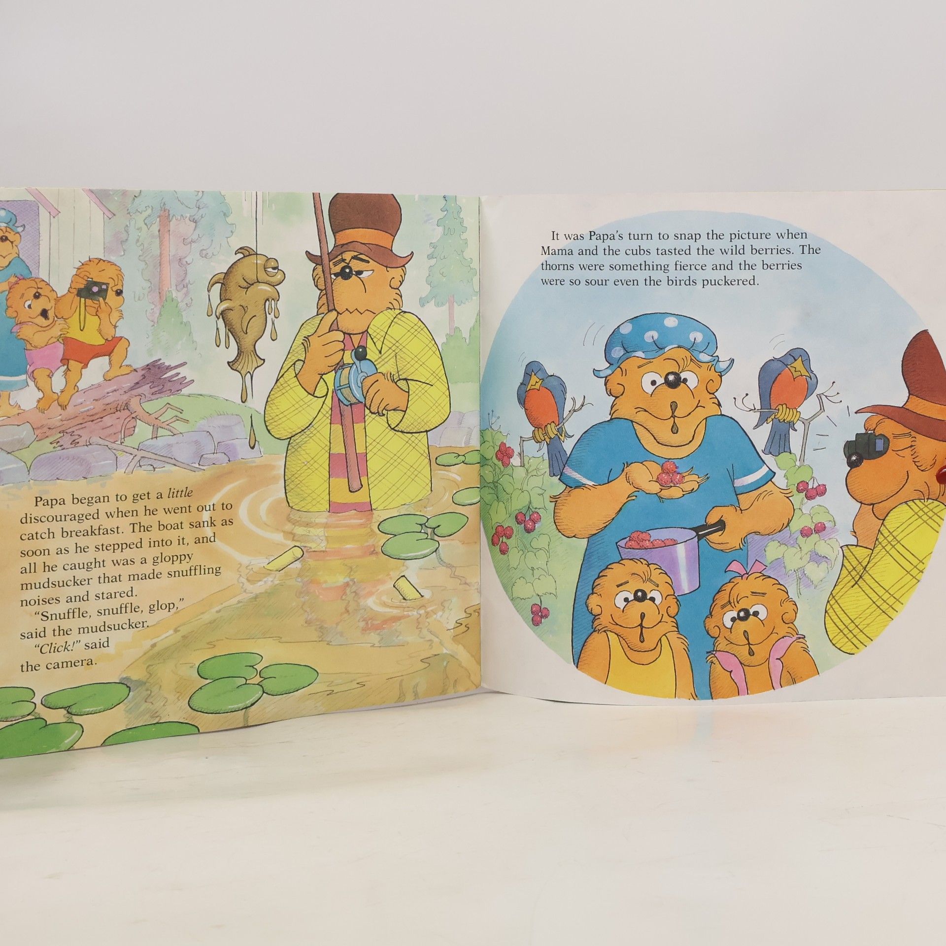 Stan Berenstain The Berenstain Bears and Too Much Vacation