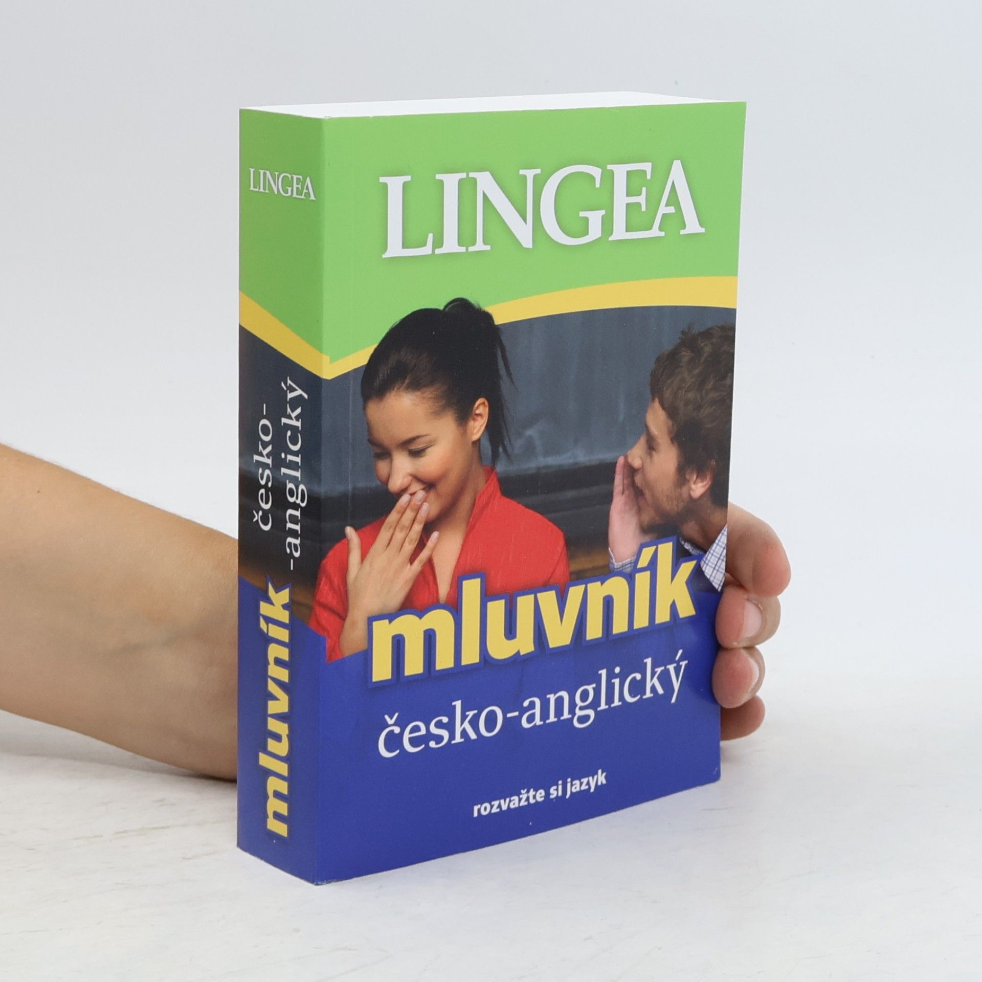 Autorenkollektiv Mluvník česko-anglický