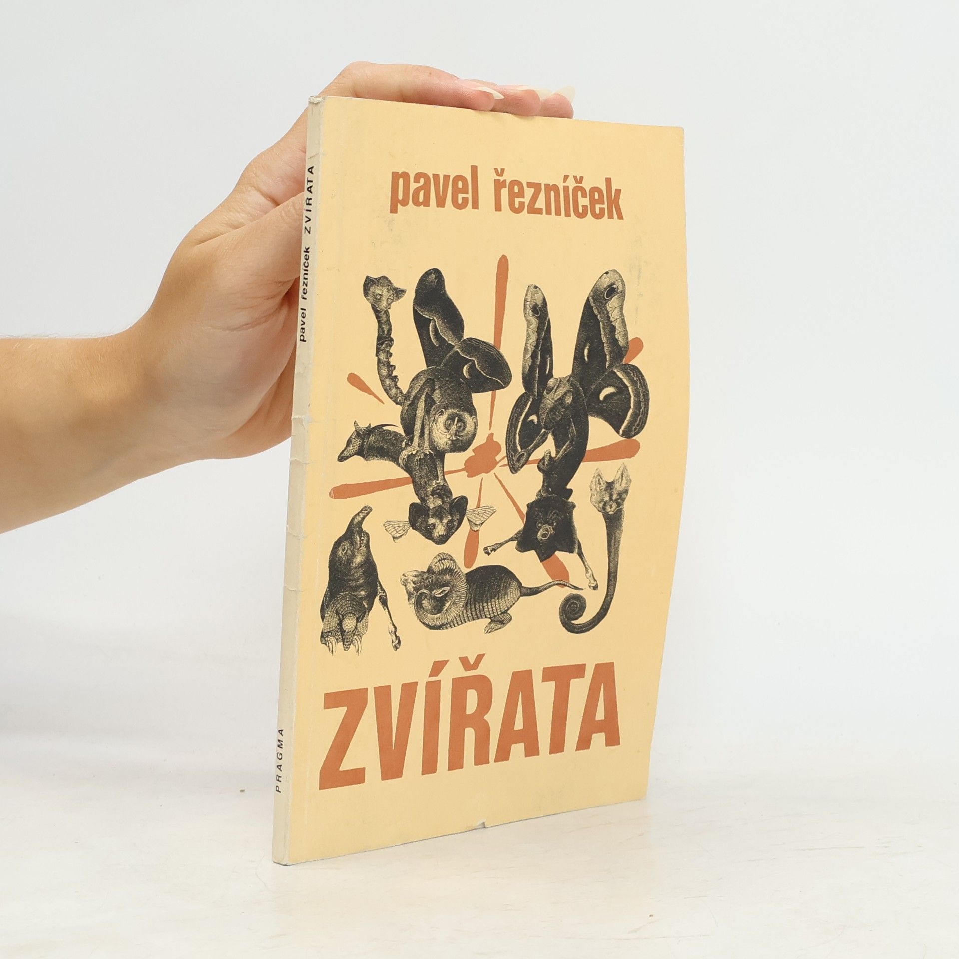 Zvířata