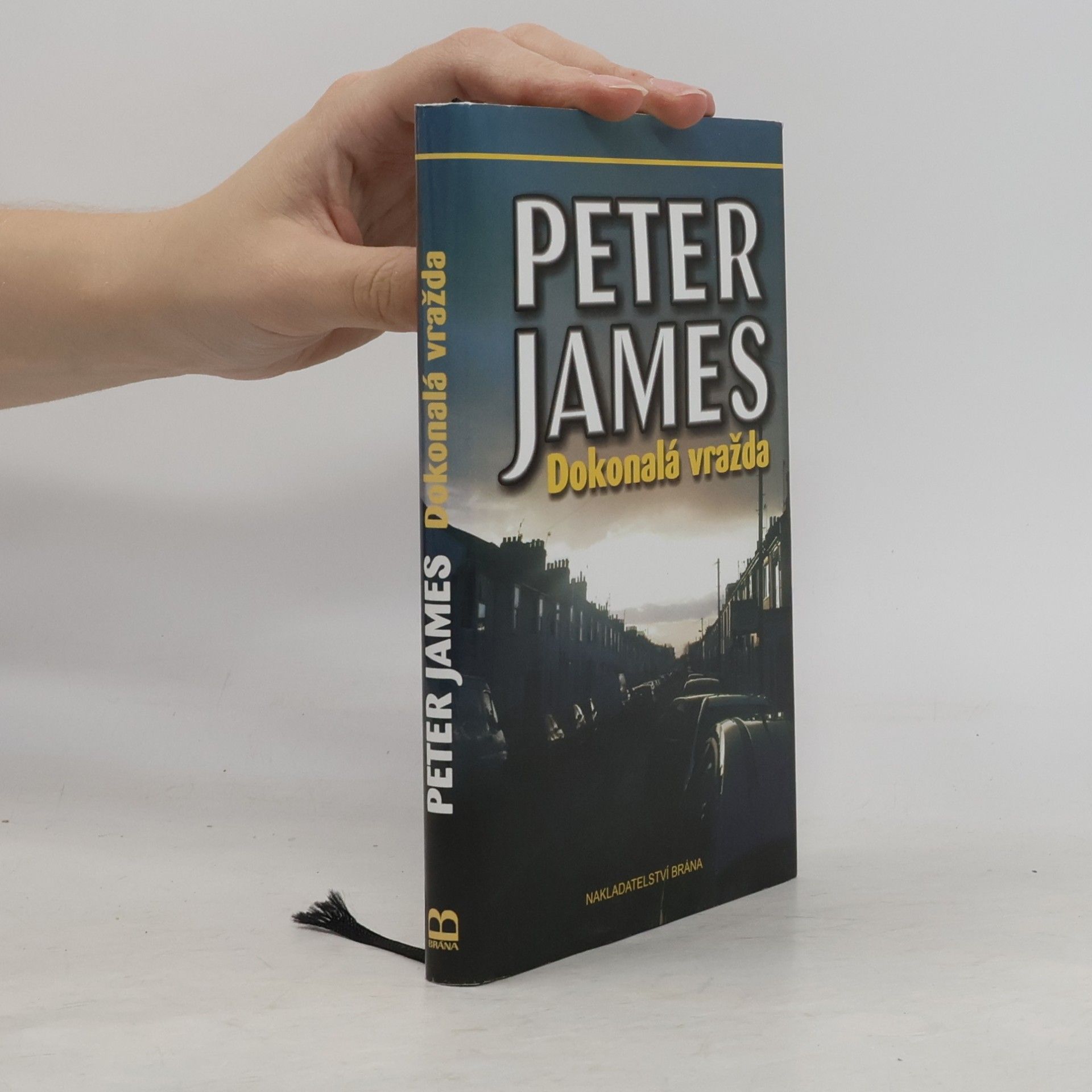 Peter James Dokonalá vražda