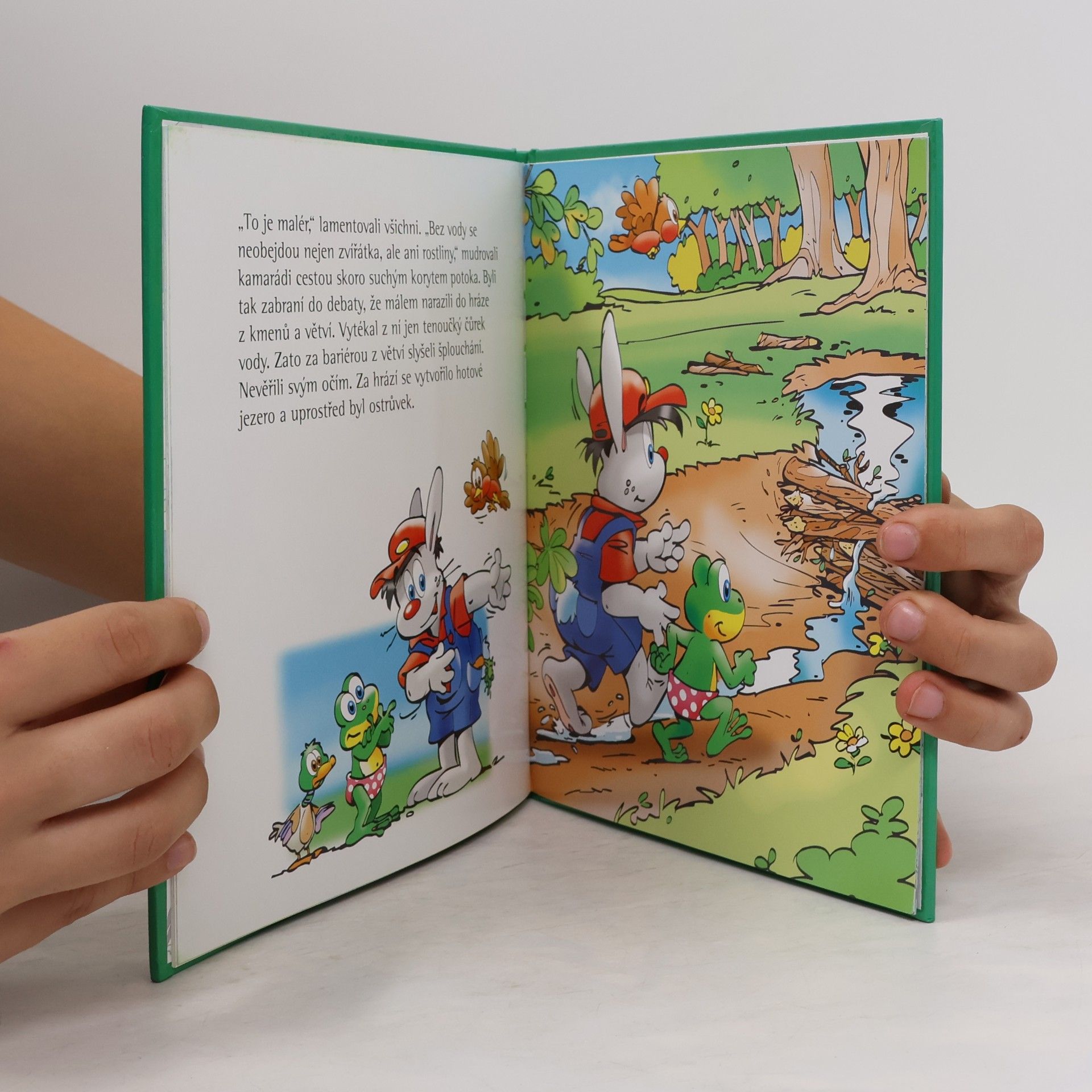 Kolektiv autorů Martin - Vyschl potok!