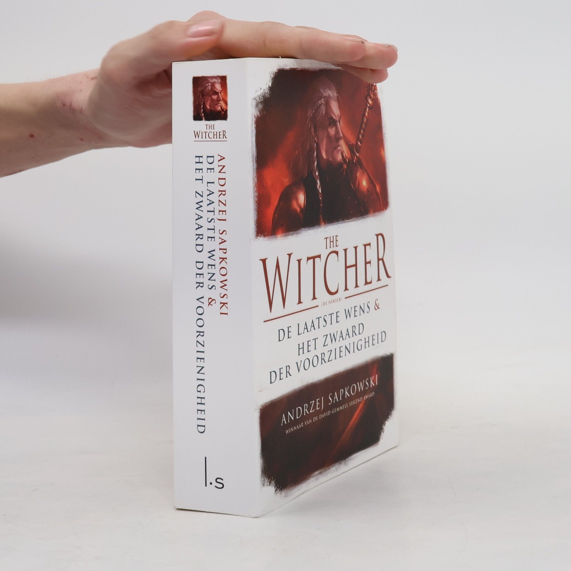 Karol Lesman The Witcher - 1-2: De laatste wens & Het zwaard der voorzienigheid