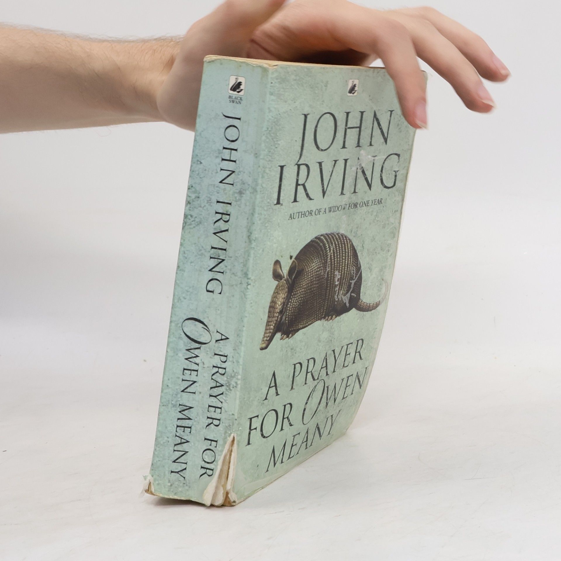 John Irving A Prayer for Owen Meany