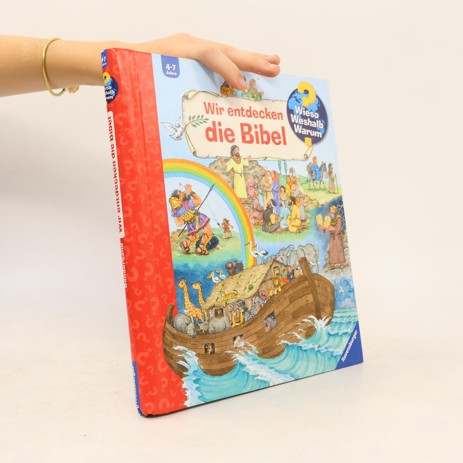 Andrea Erne Wir entdecken die Bibel