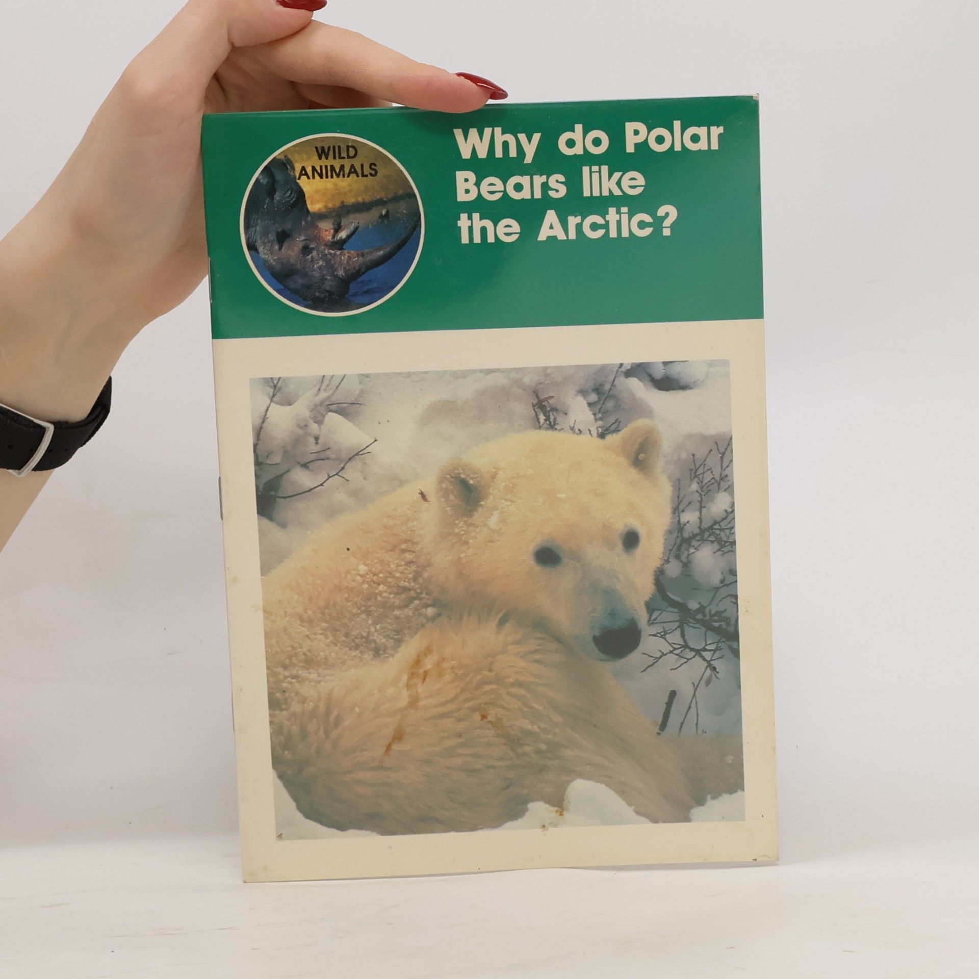 Ross Latham Why Do Polar Bears Like the Arctic?