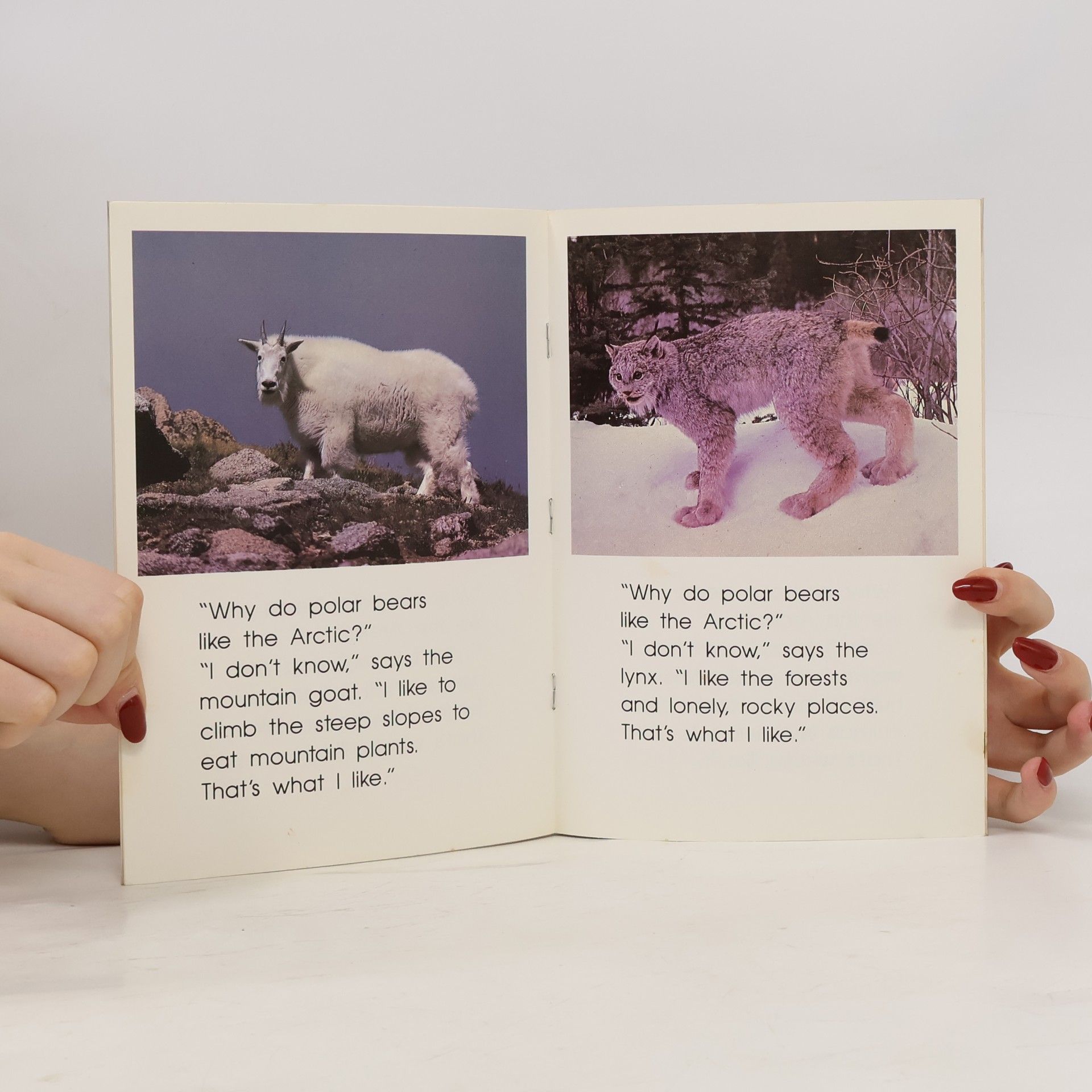 Ross Latham Why Do Polar Bears Like the Arctic?