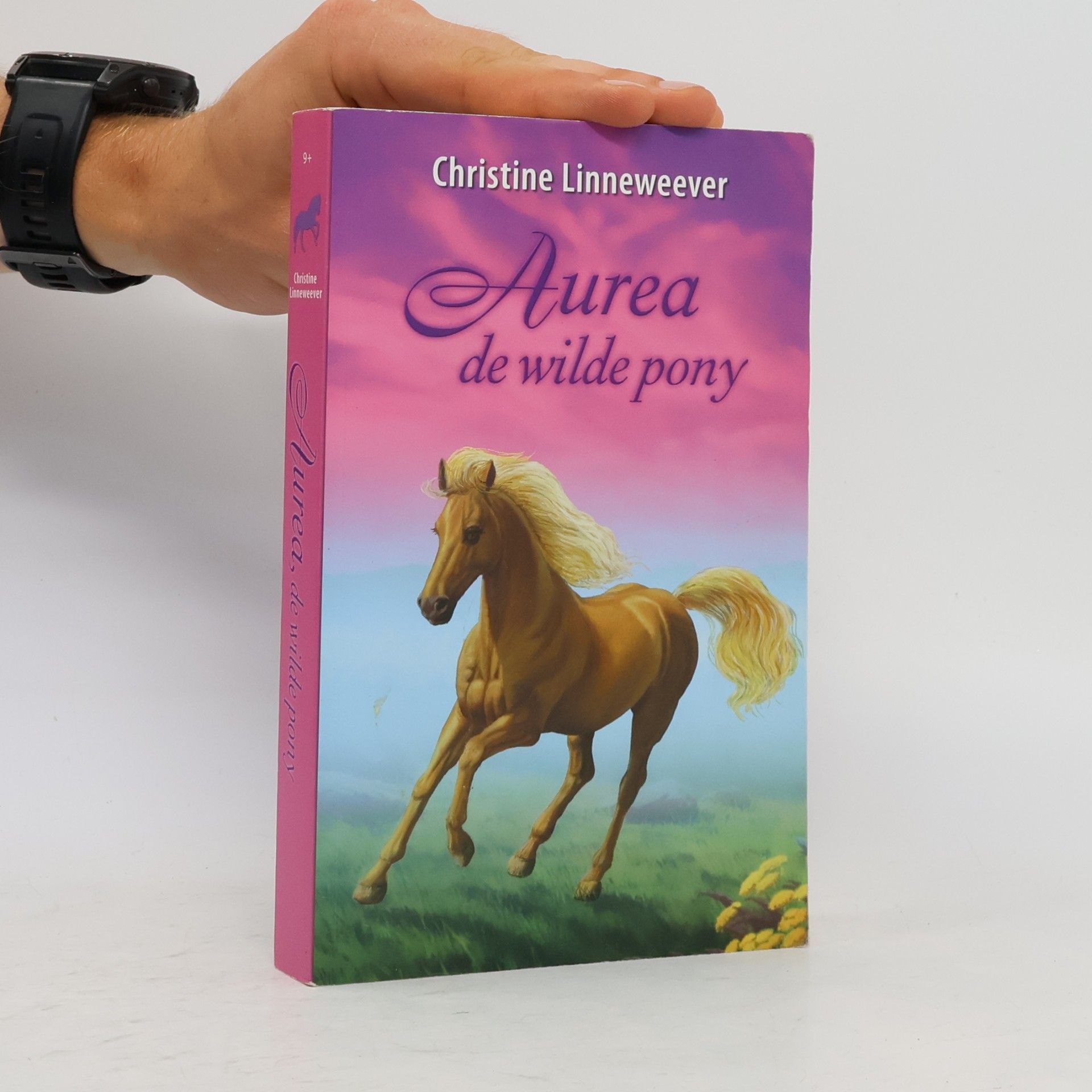 Christine Linneweever Aurea de wilde pony