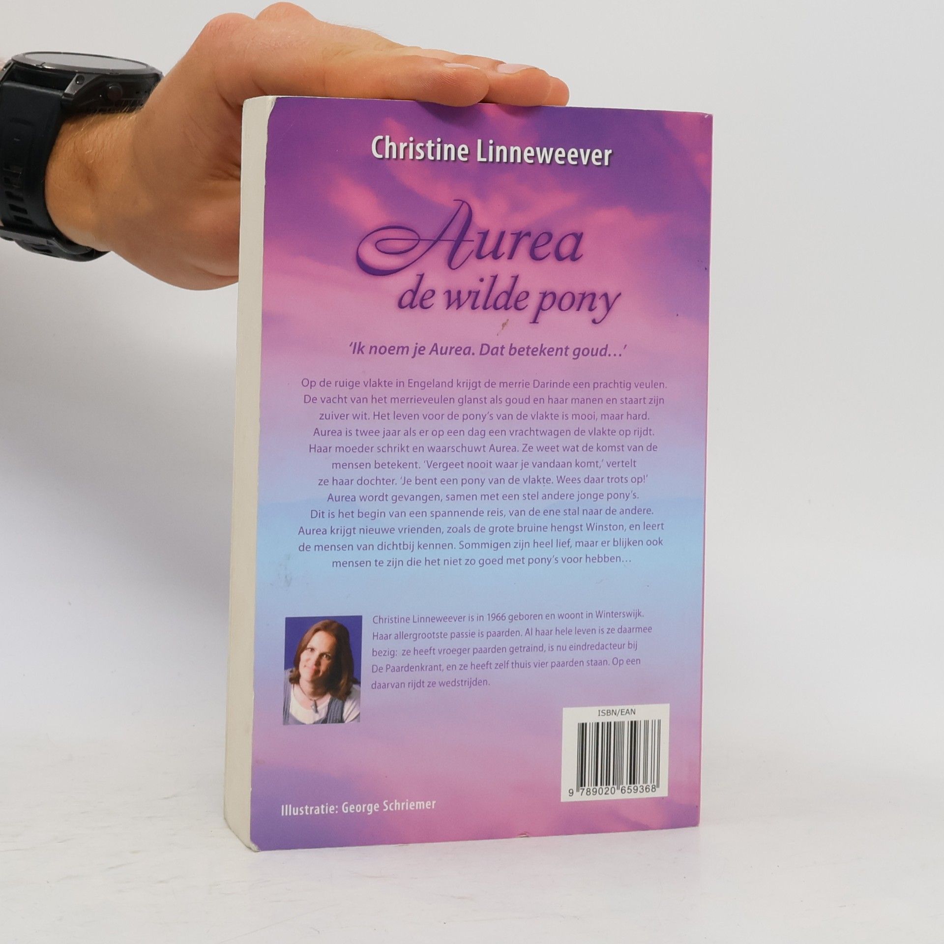 Christine Linneweever Aurea de wilde pony
