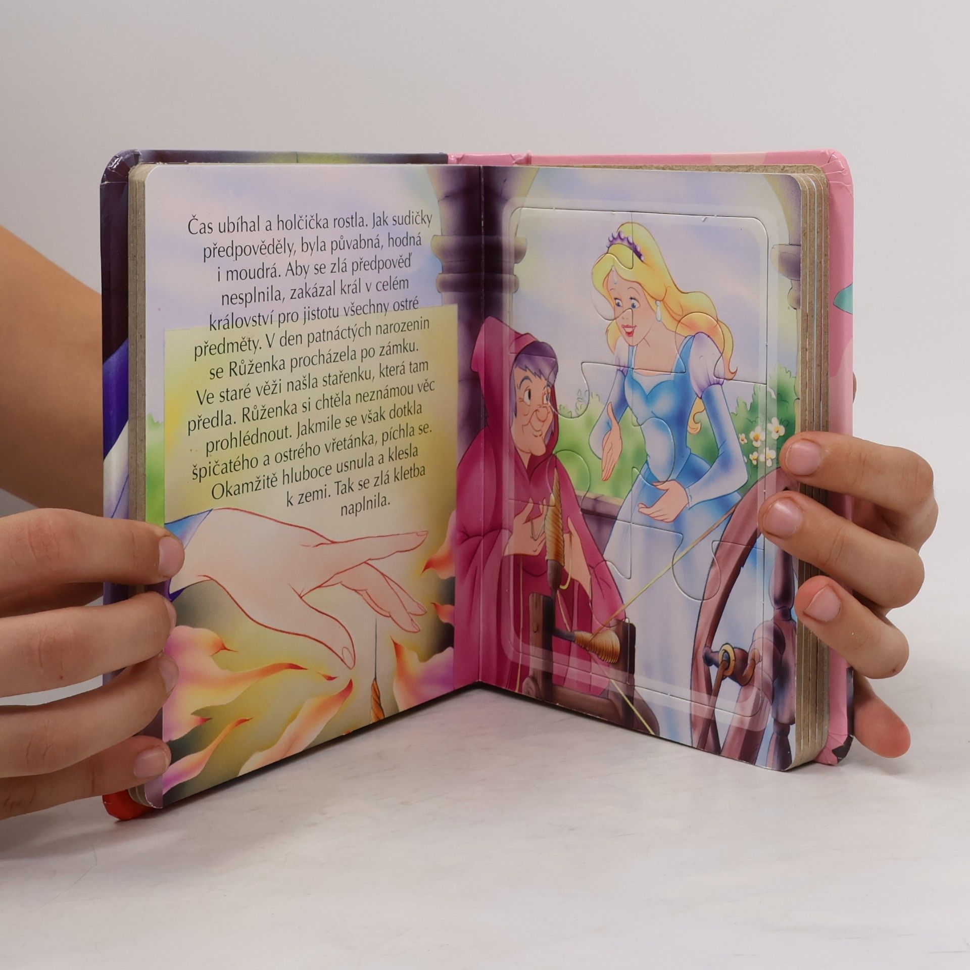 Autores varios Šípková Růženka : pohádka s puzzle