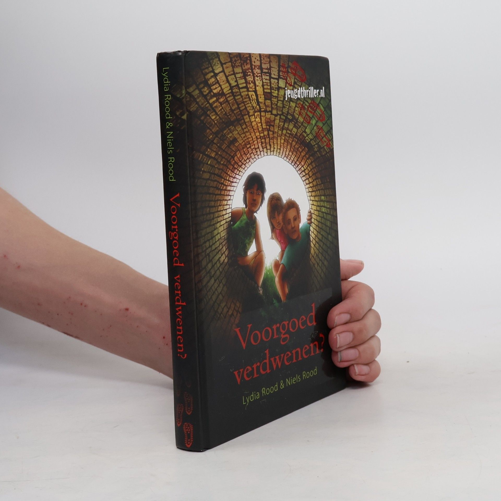 Niels Rood Jeugdthriller.nl: Voorgoed verdwenen?