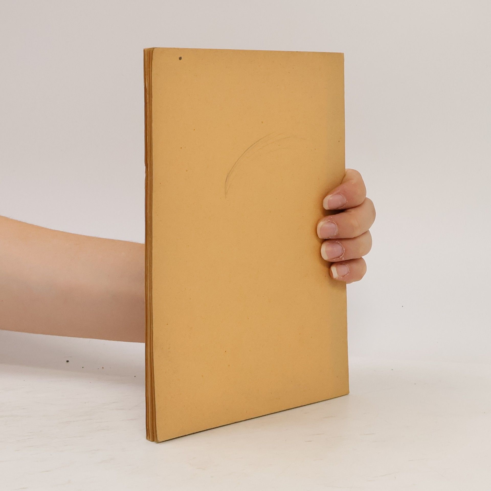 kolektiv Katalog zu der Ausstellung Sammlung Haubrich