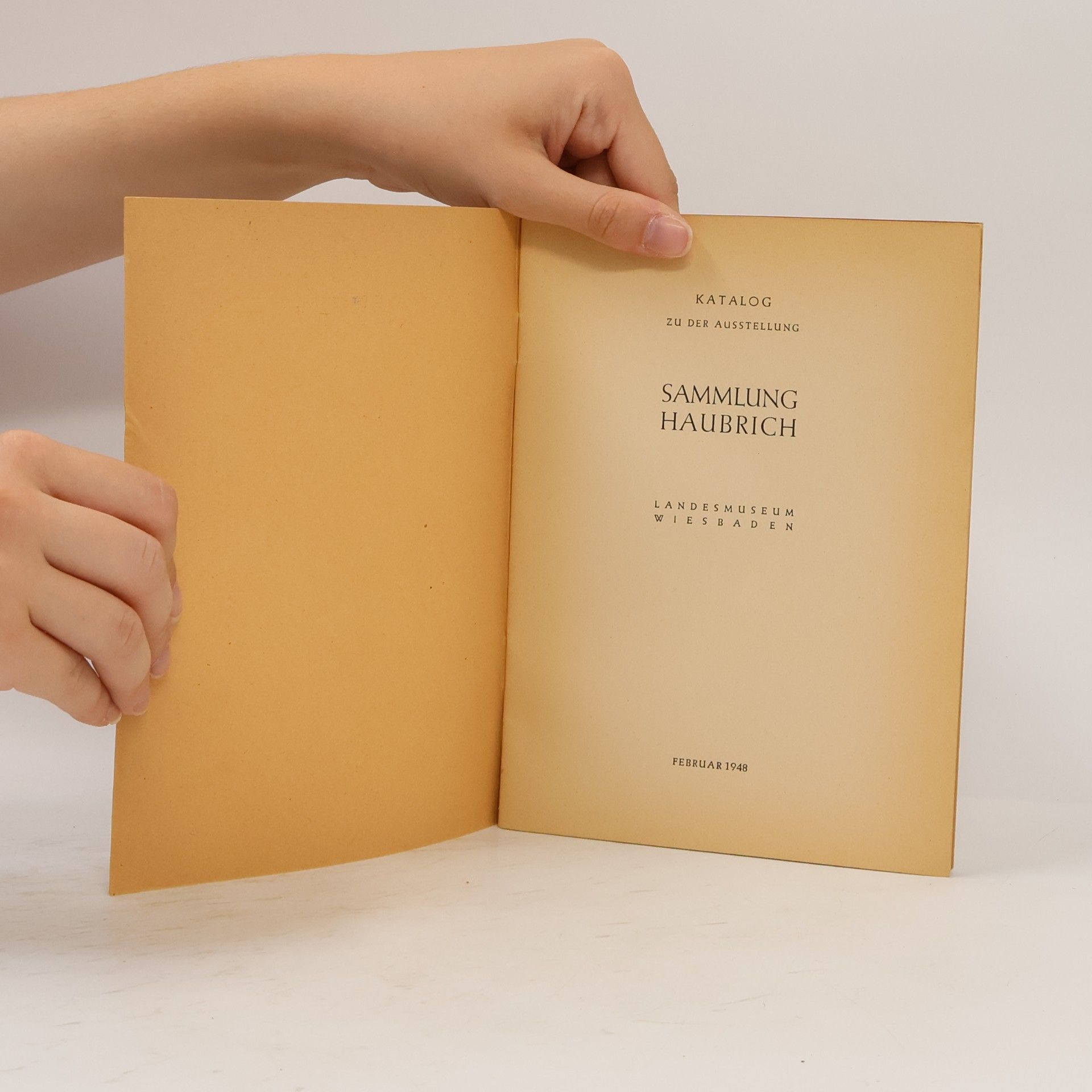 kolektiv Katalog zu der Ausstellung Sammlung Haubrich