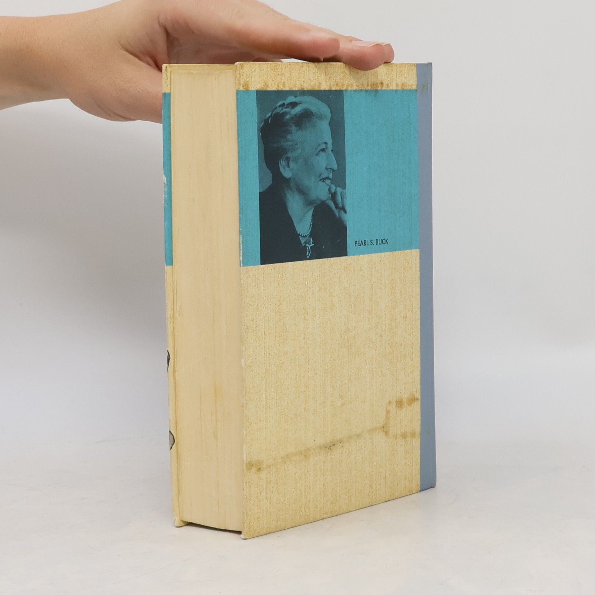 Pearl S. Buck Drachen saat