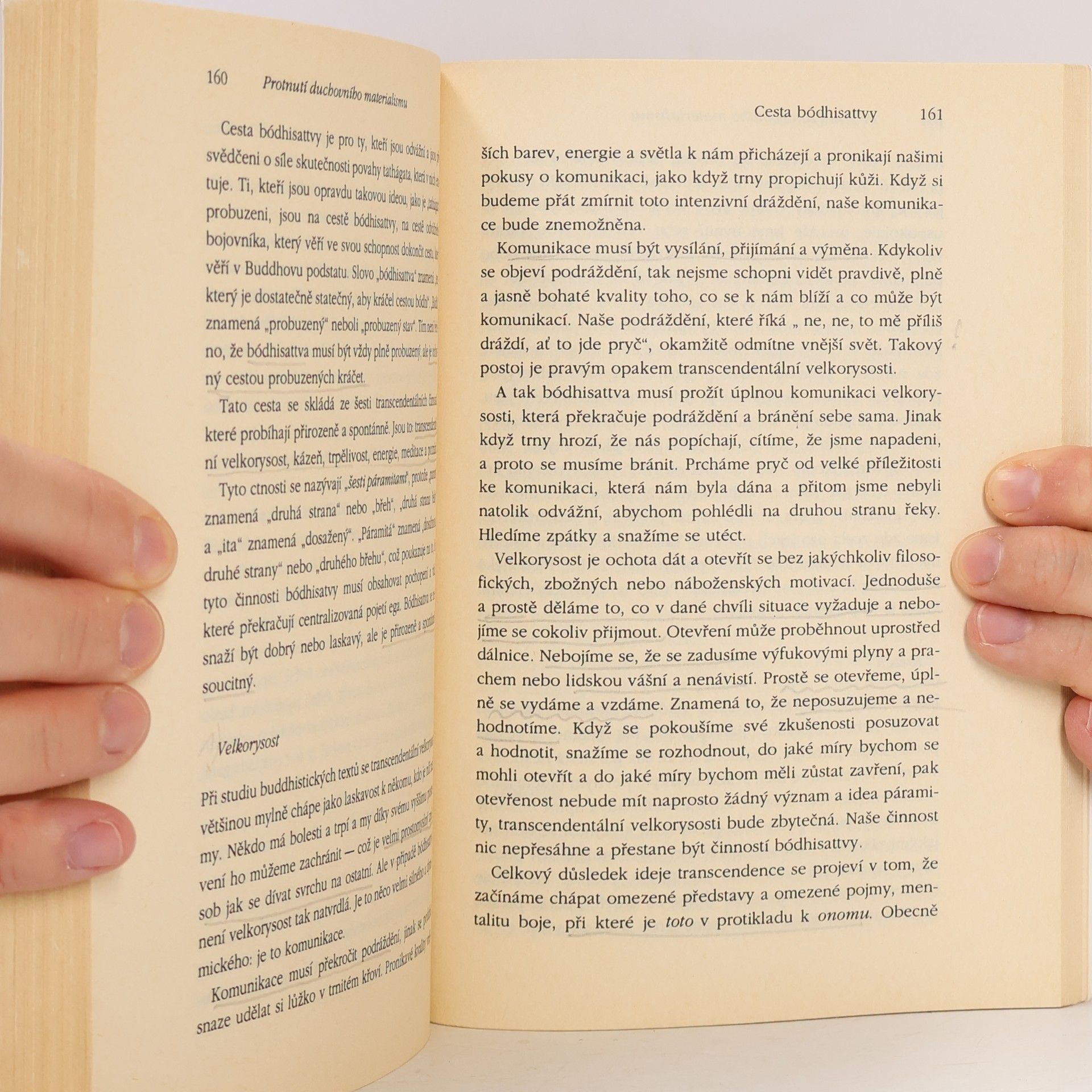 Chögyam Trungpa Protnutí duchovního materialismu